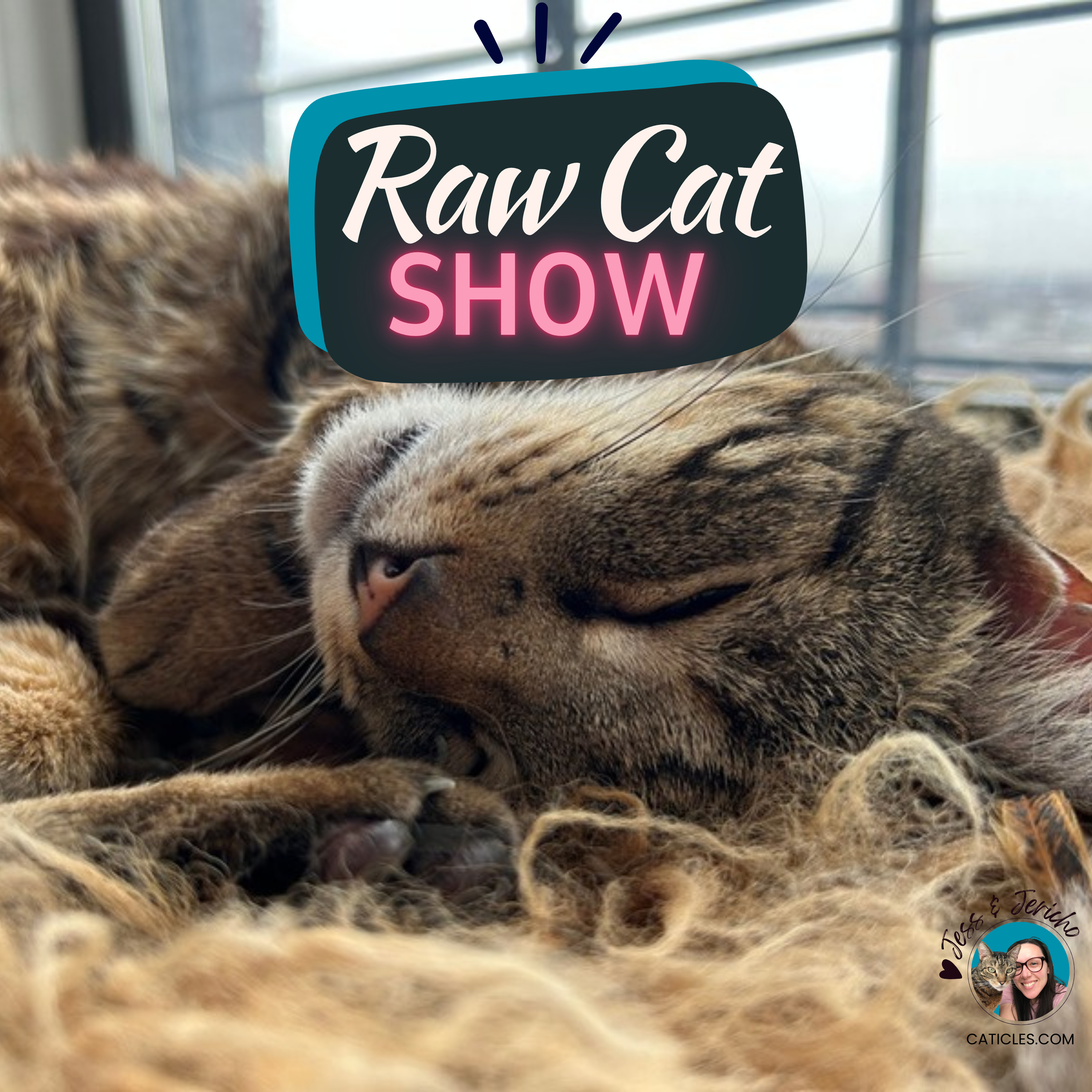Raw Cat Show with Jess & Jericho caticles.com | Fun Enrichment | Raw Feeding | Whole Prey