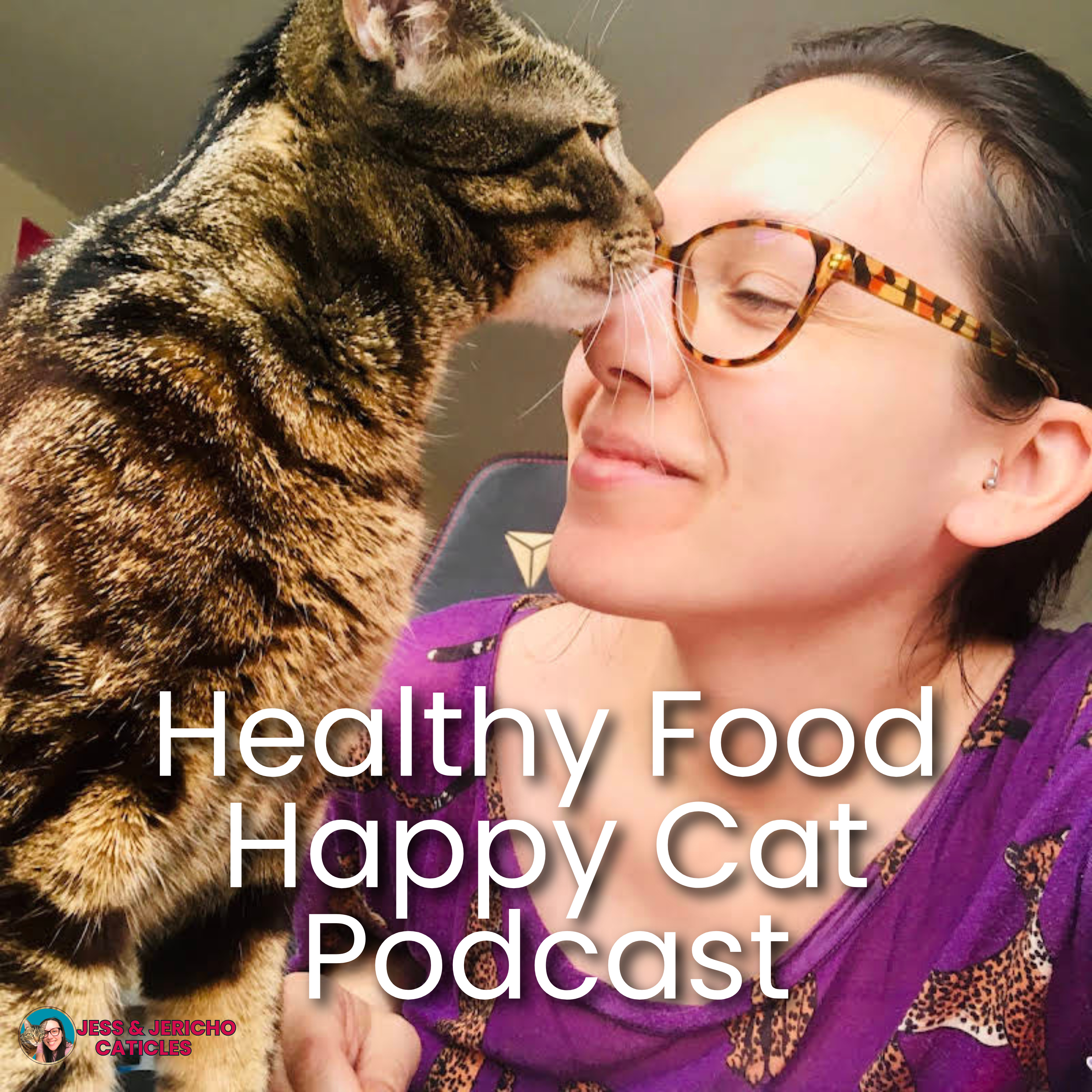 The natural cat diet, $300 litter boxes, and online biz chats episode artwork