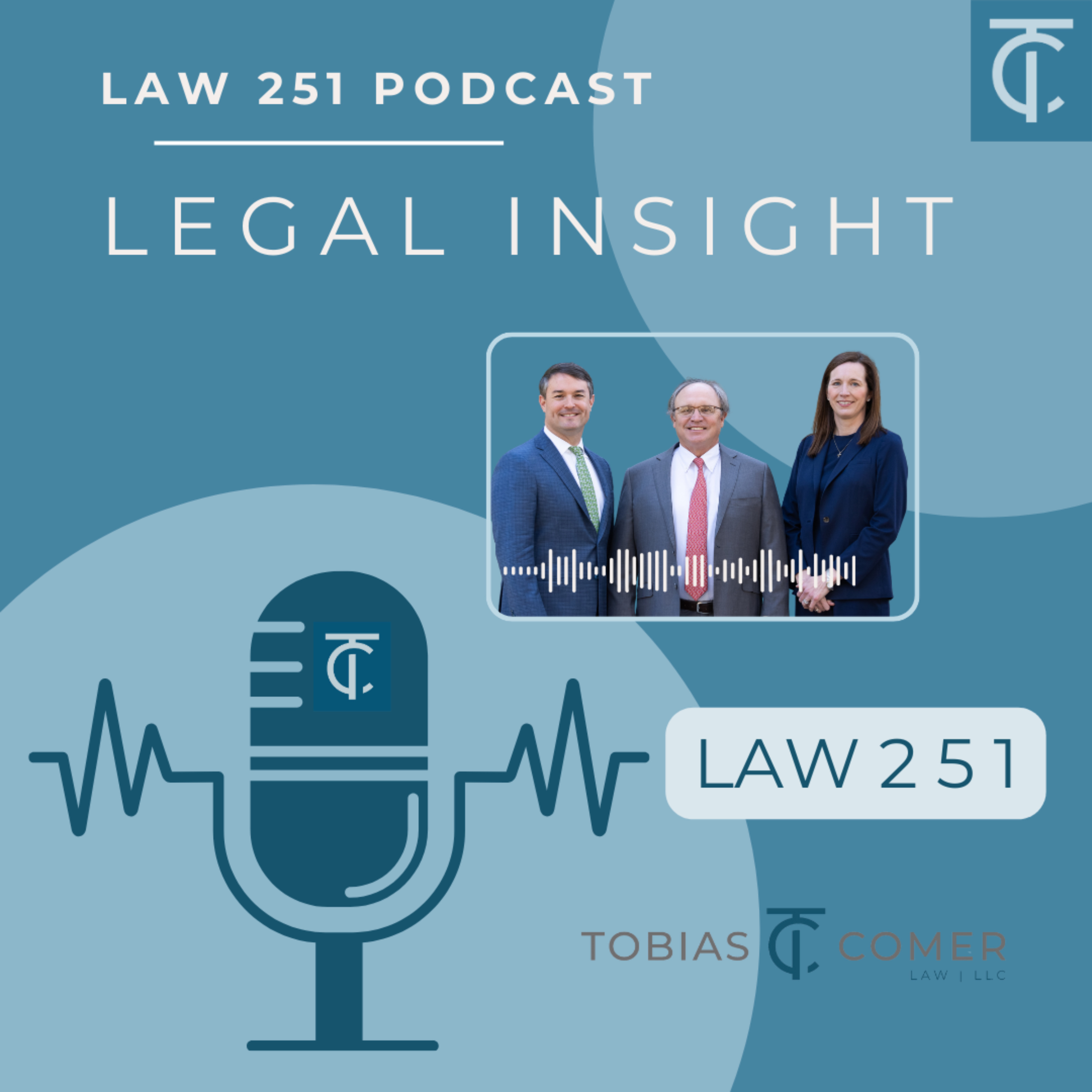Law 251