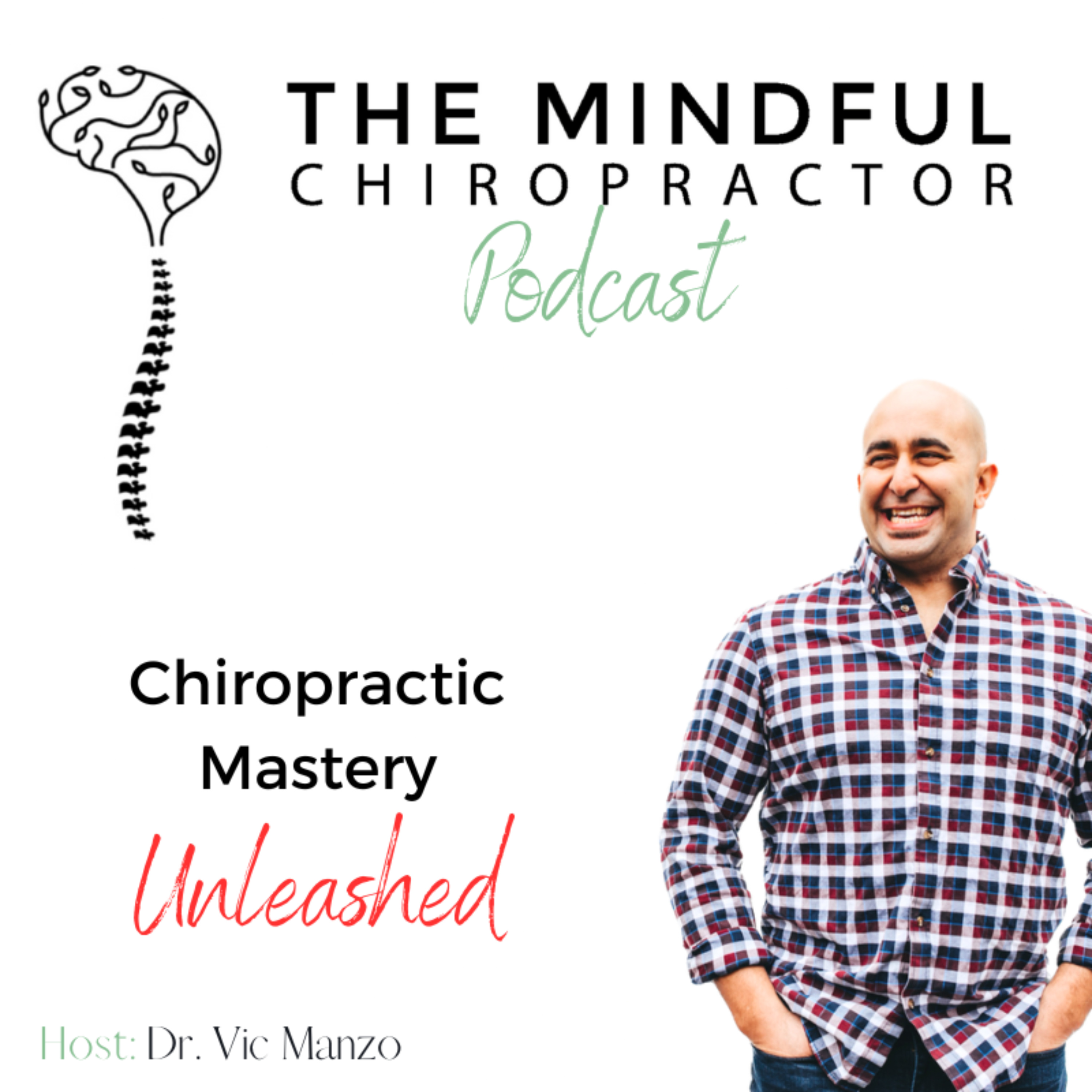 The Mindful Chiropractor - Chiropractic Mastery Unleashed