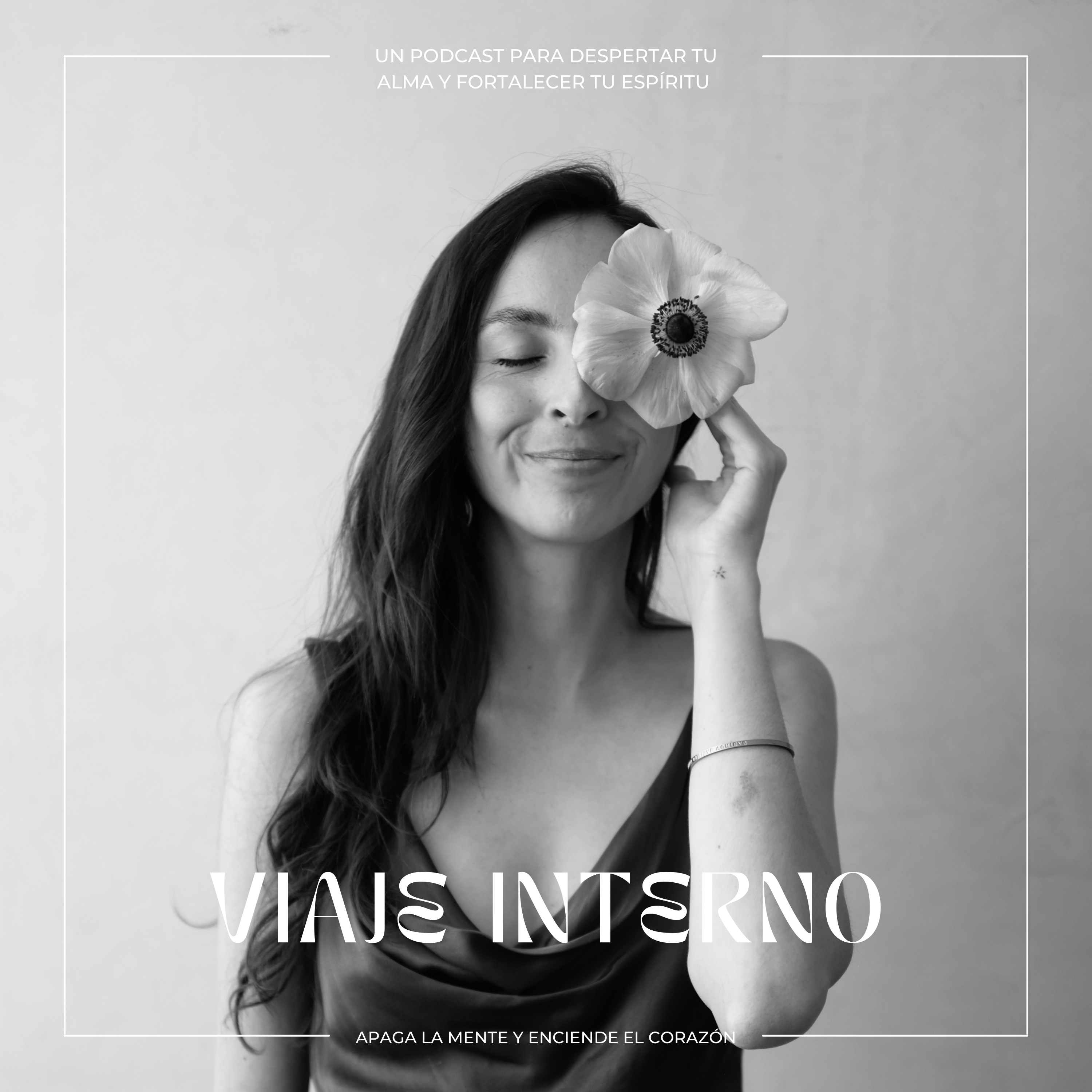Viaje Interno