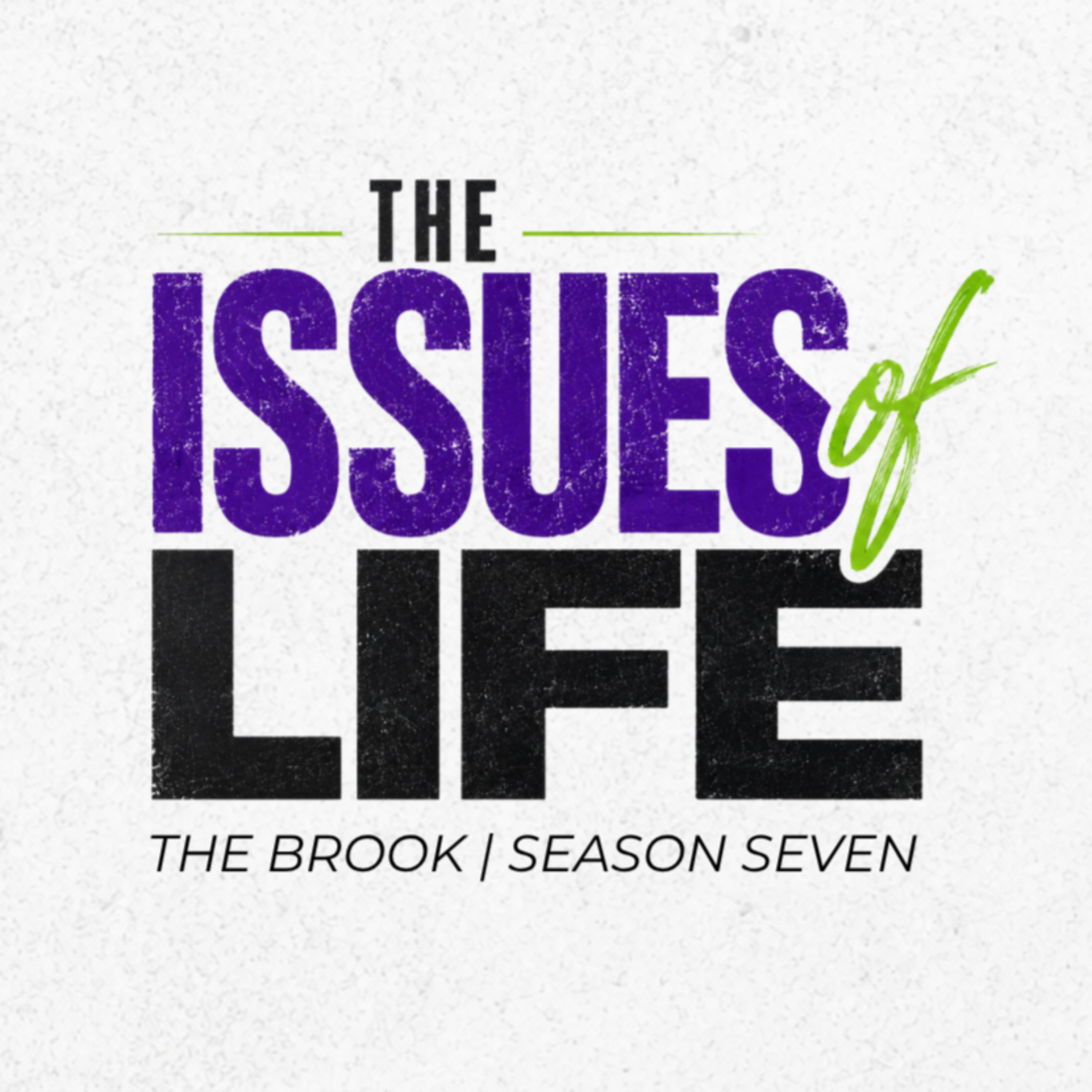 The Brook cover