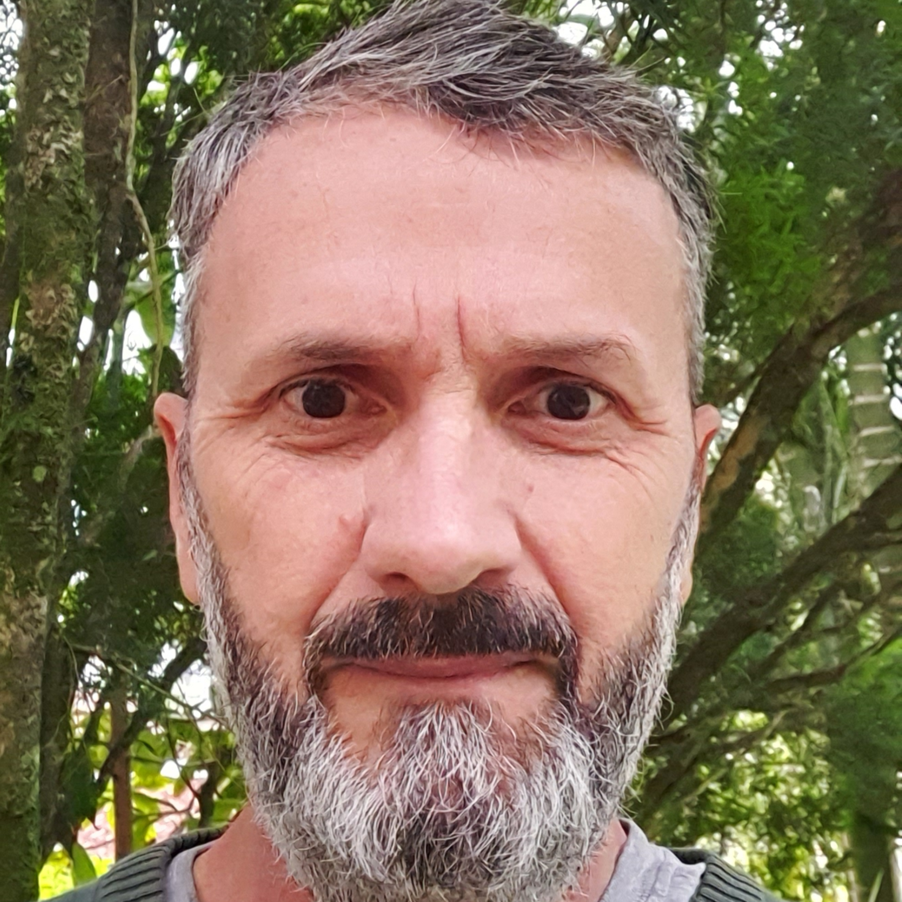Despertar