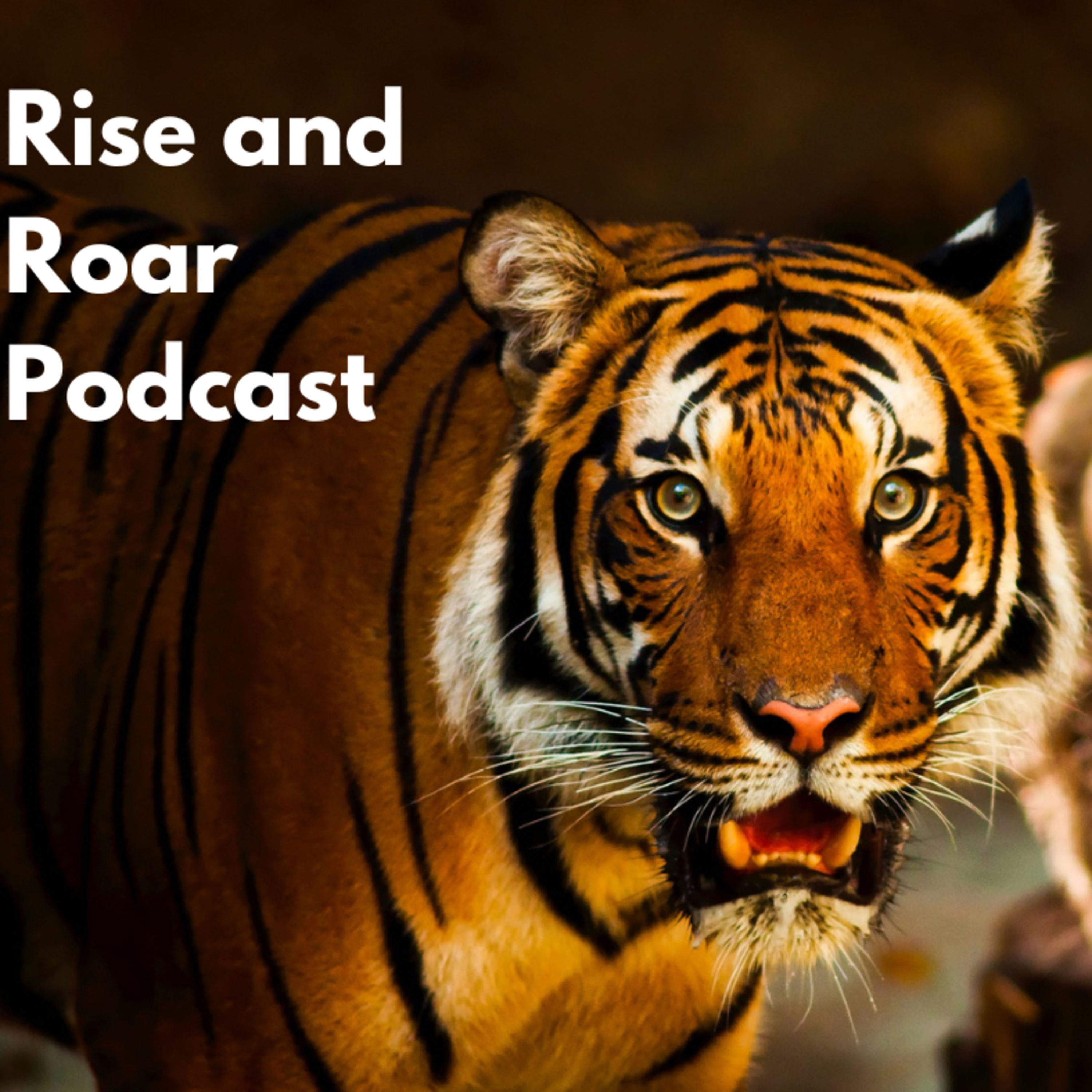Rise and Roar 