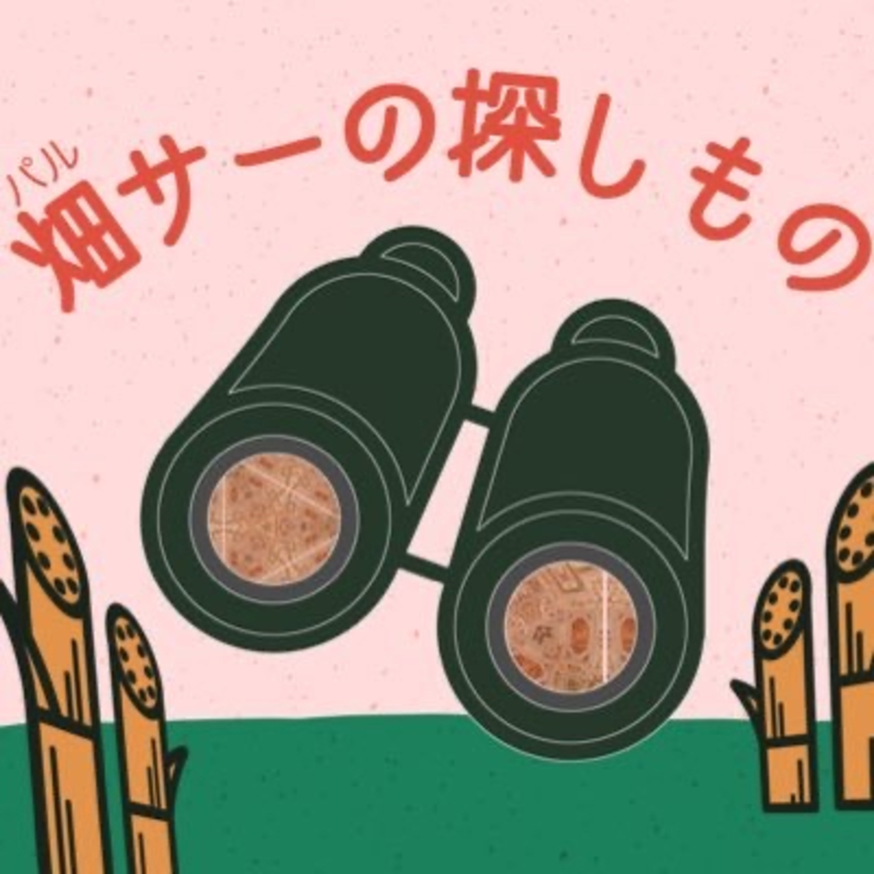 畑サーの探しもの