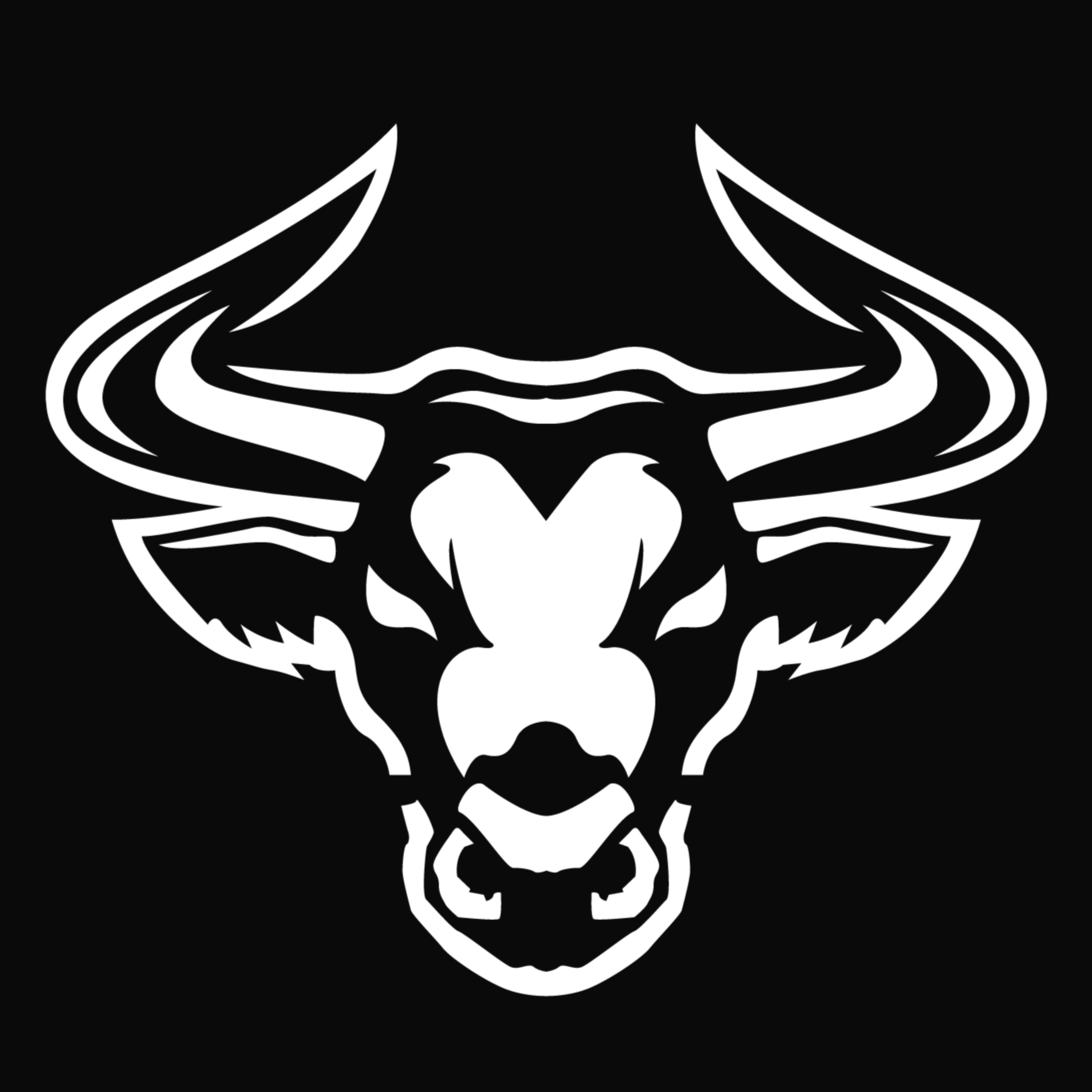 The Bull Evans Podcast cover