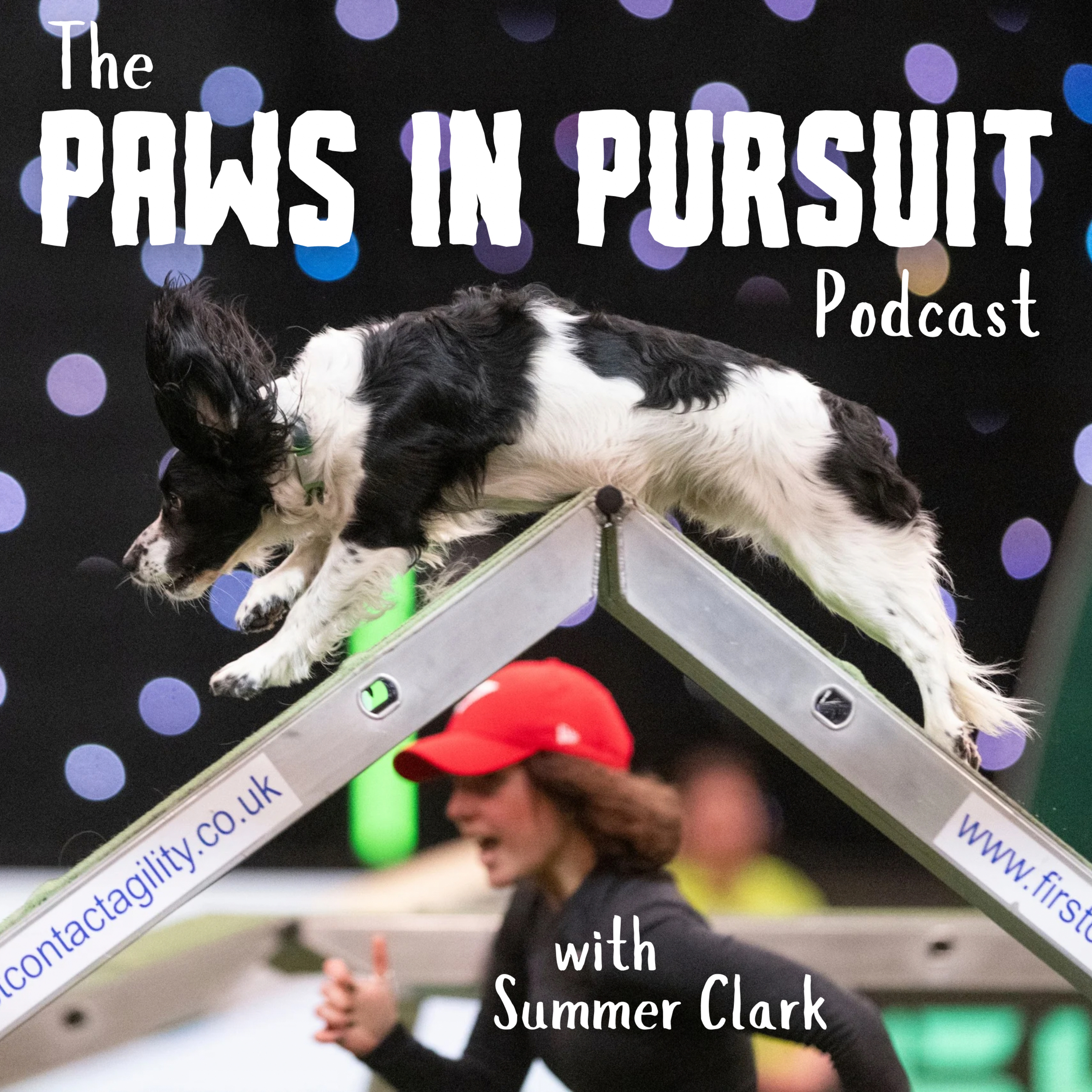 The Paws In Pursuit Podcast