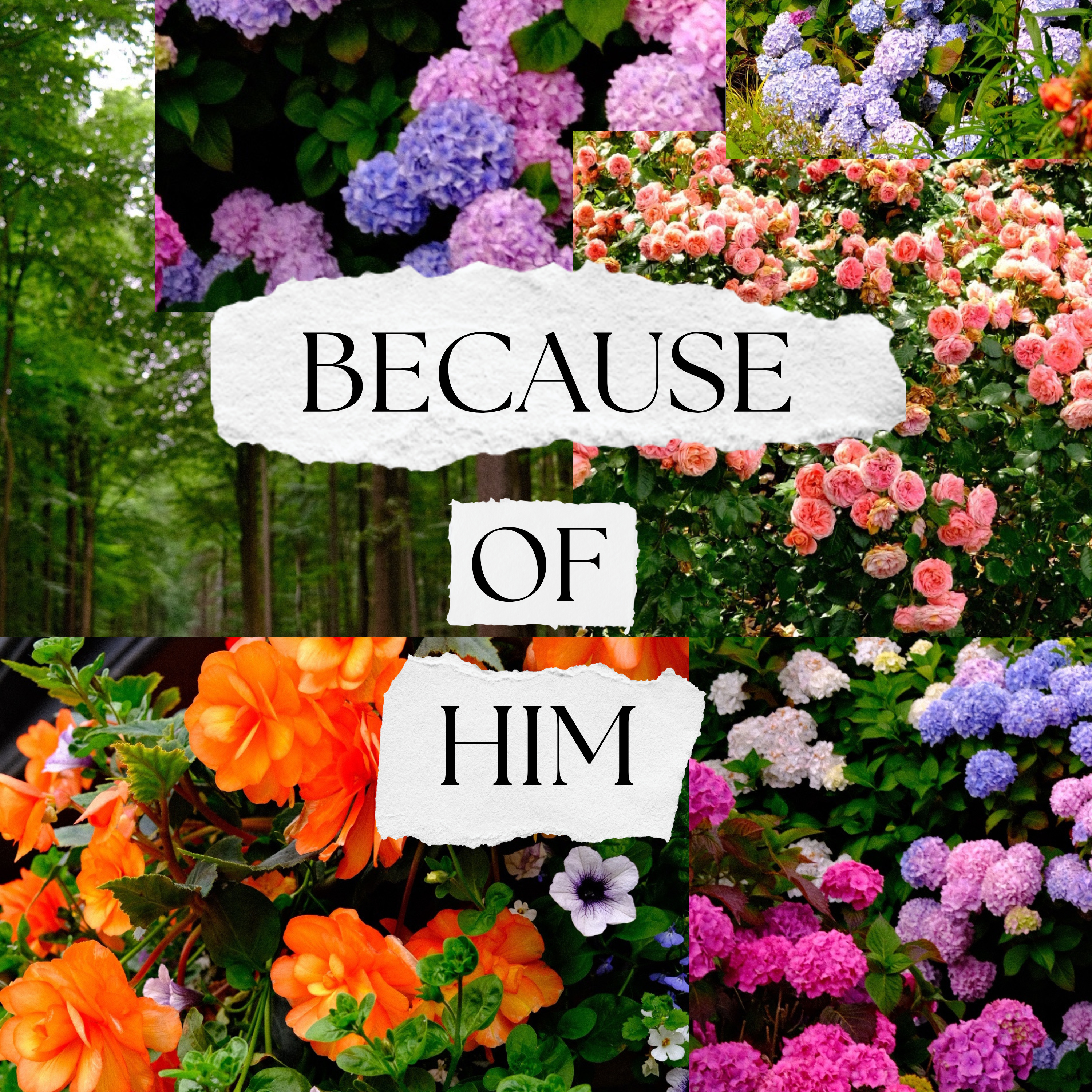 Because of Him