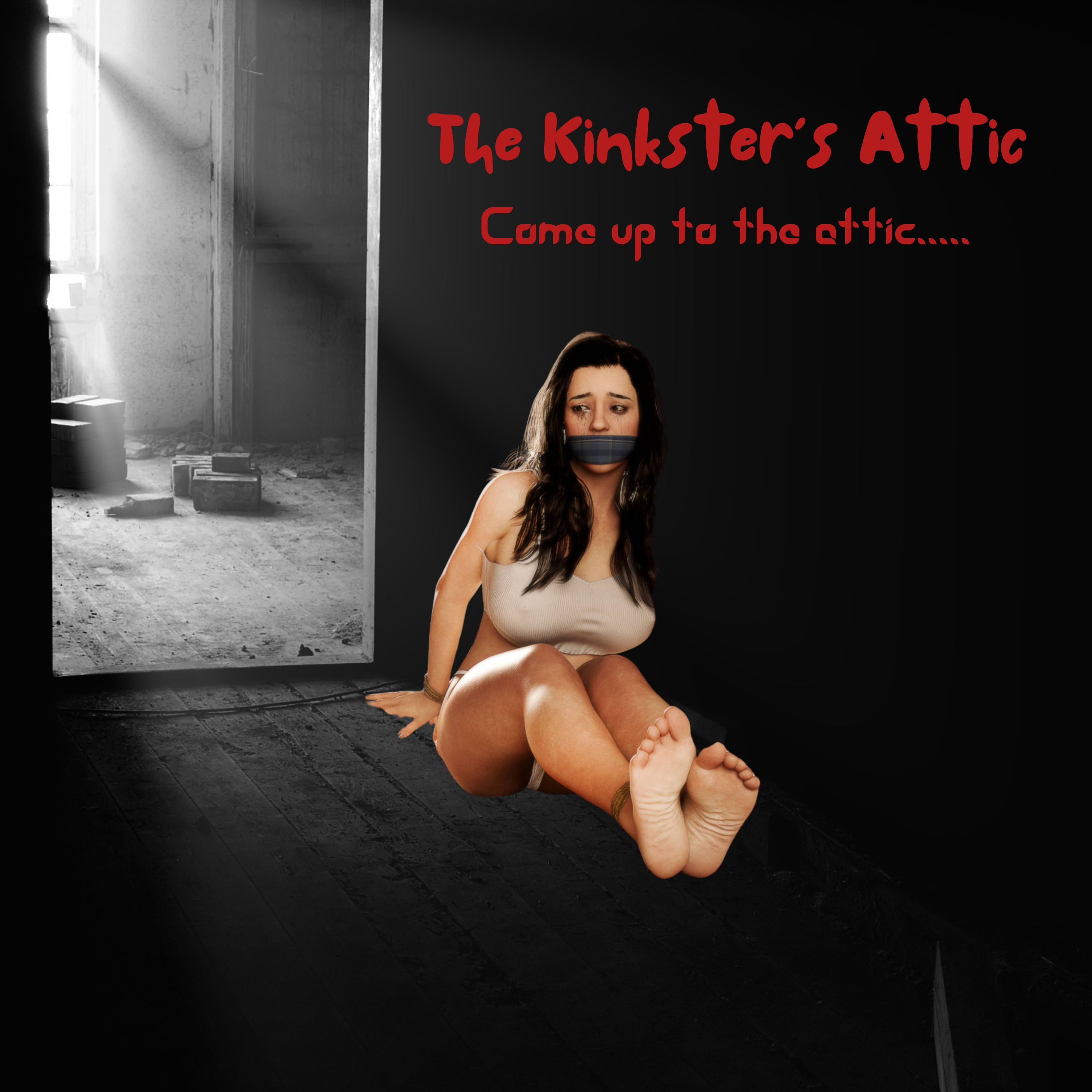 The Kinkster\'s Attic
