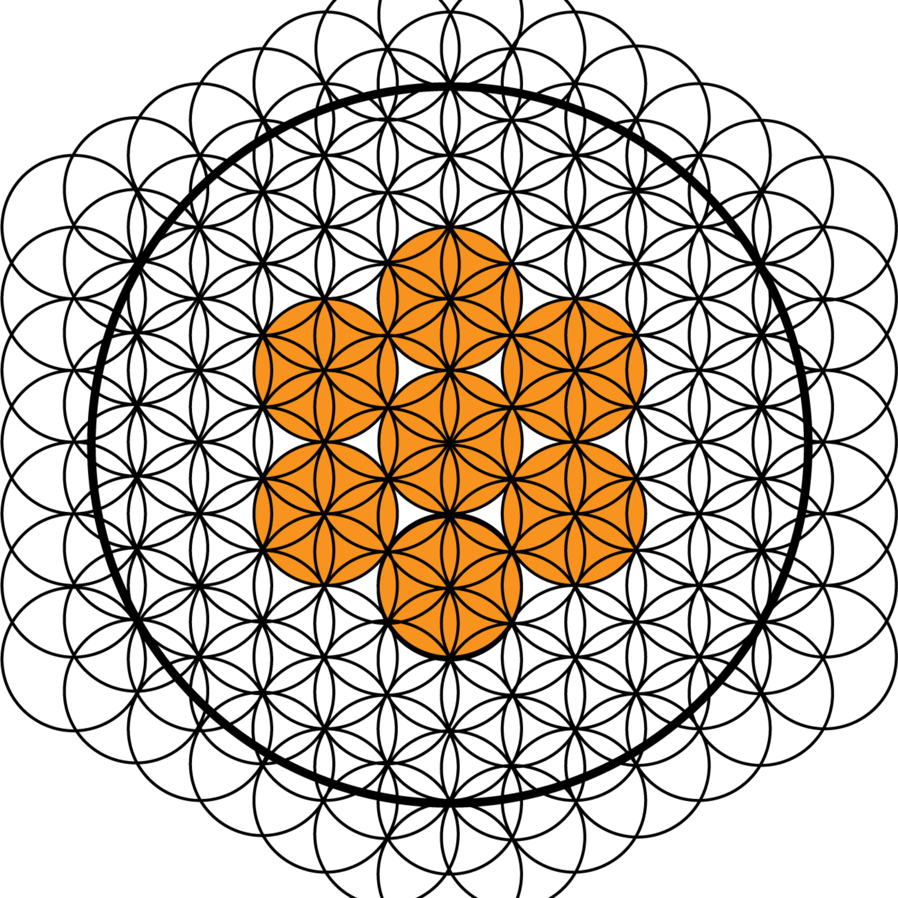 UNIVERSO VIDA | Salud y estilo de vida integral