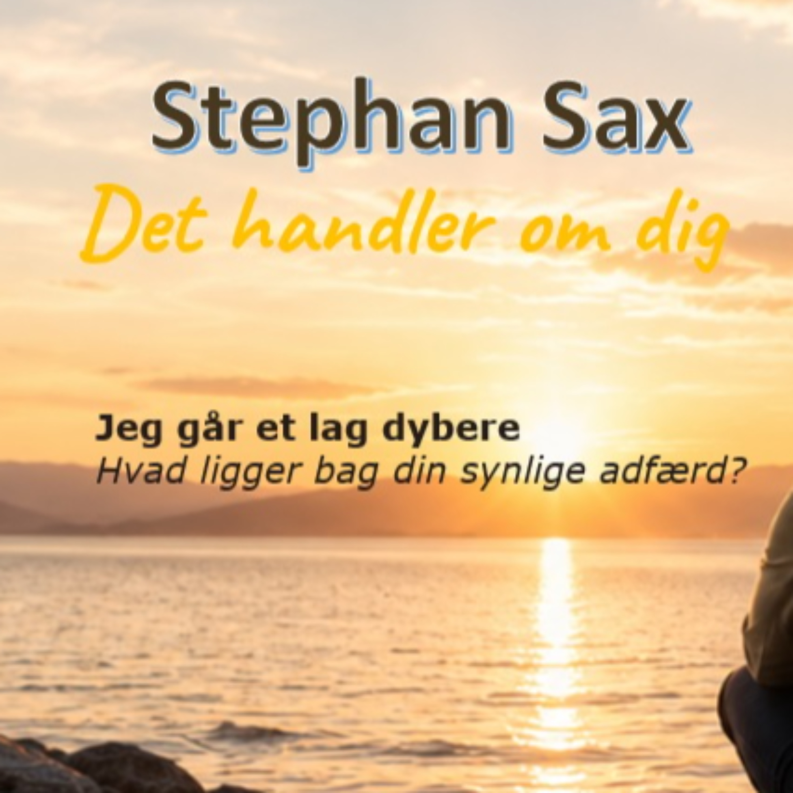 Det handler om dig af Stephan Volker Sax