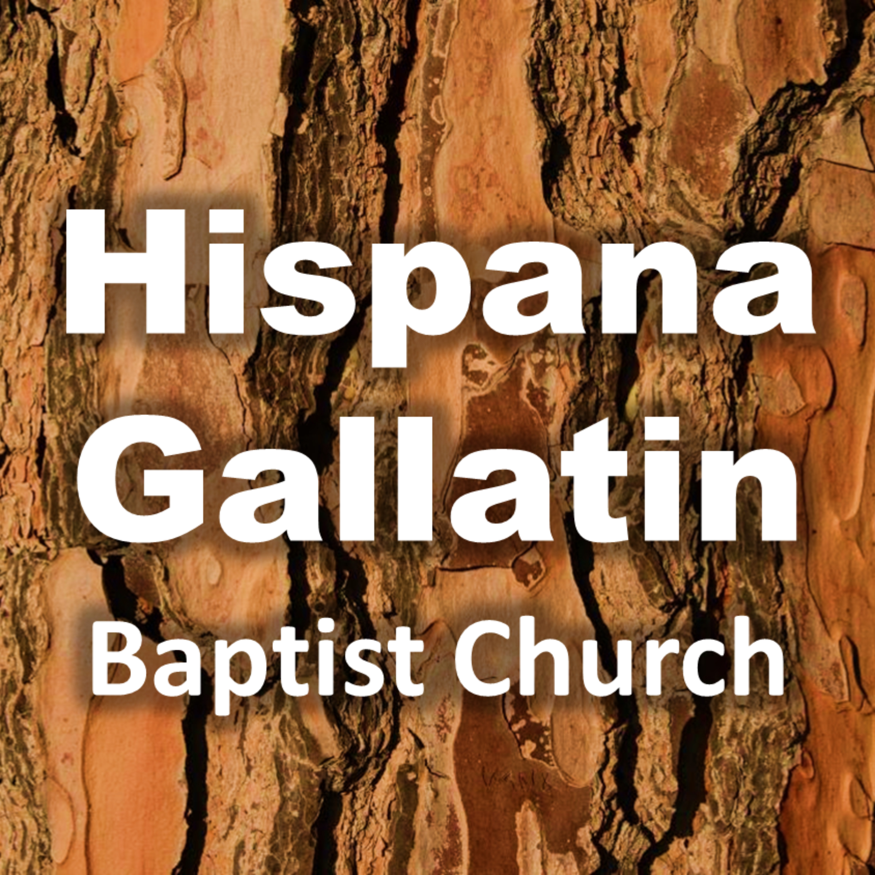 HispanaGallatin podcast artwork