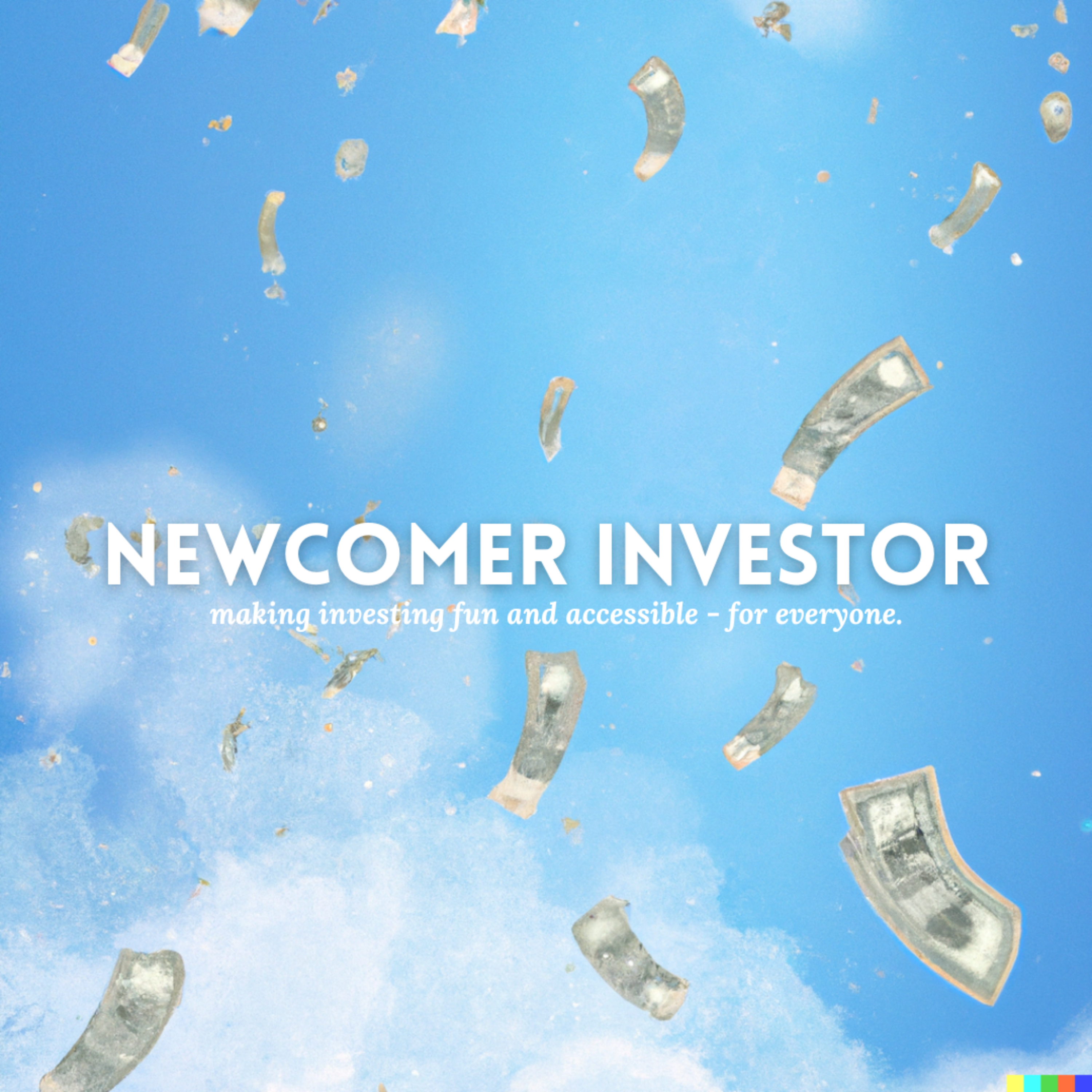 Newcomer Investor