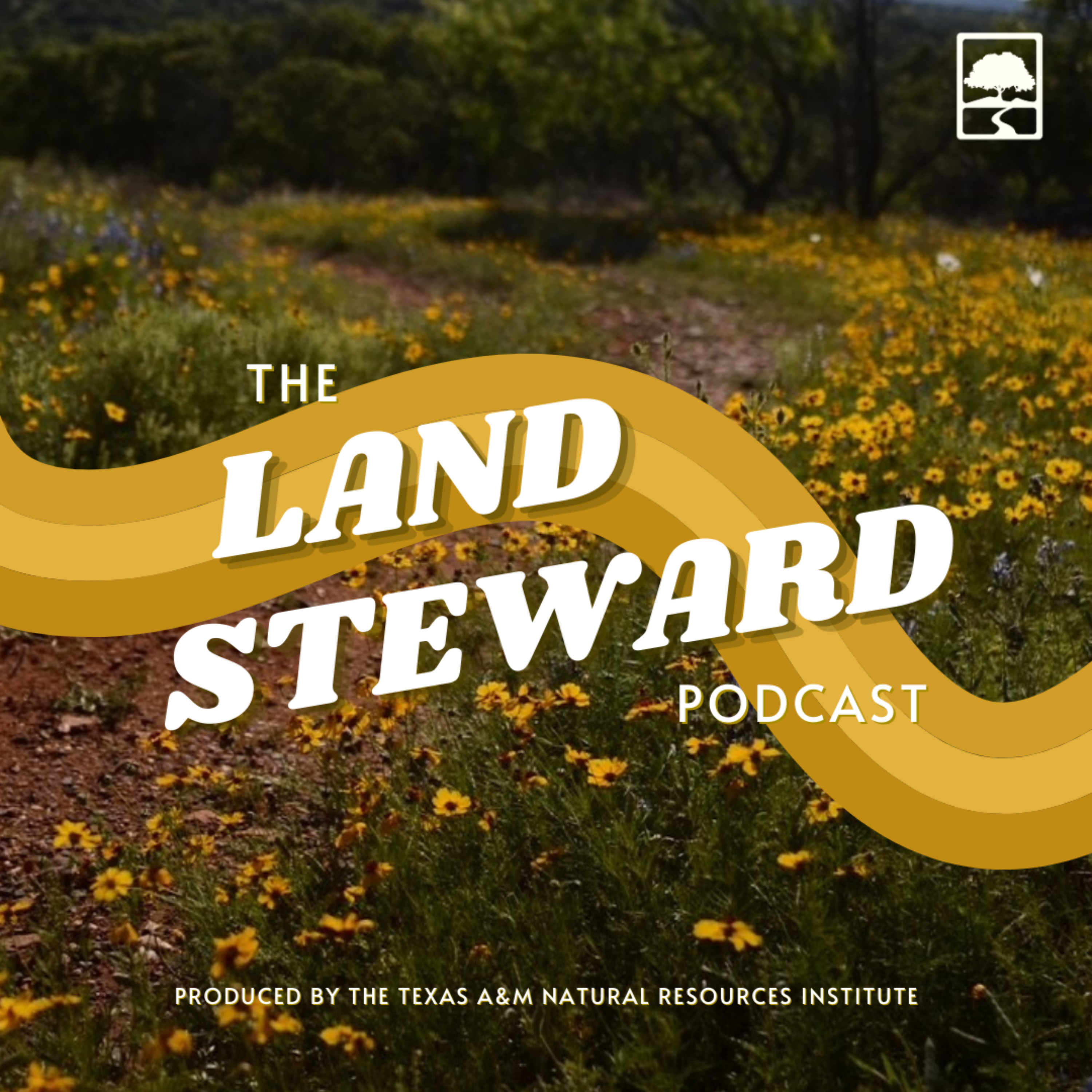 Episode 4 - Finding Natural Resource Professionals in Texas and Wildlife Tax Valuations with Dr. Jim Cathey episode artwork