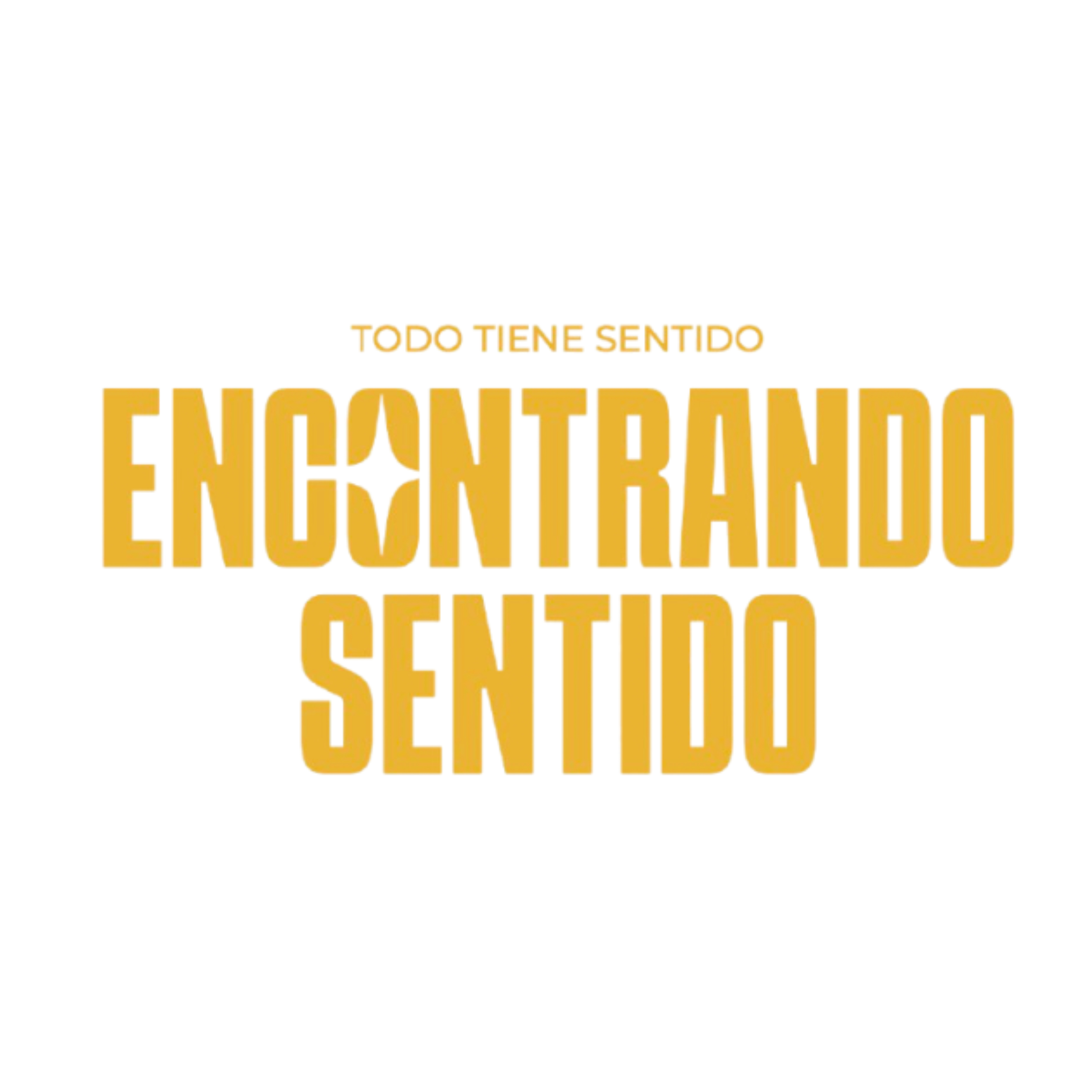ENCONTRANDO SENTIDO