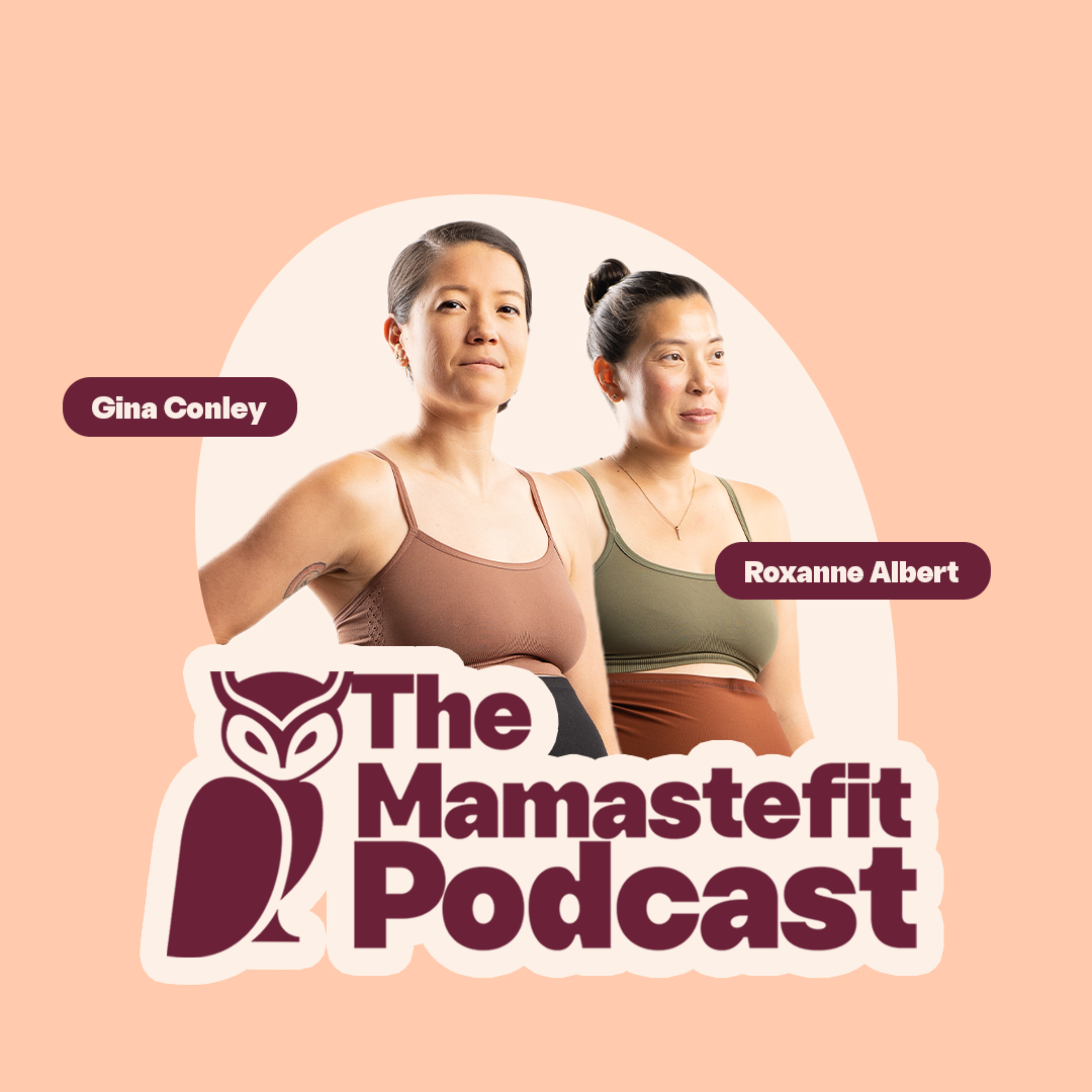 Podcast Image