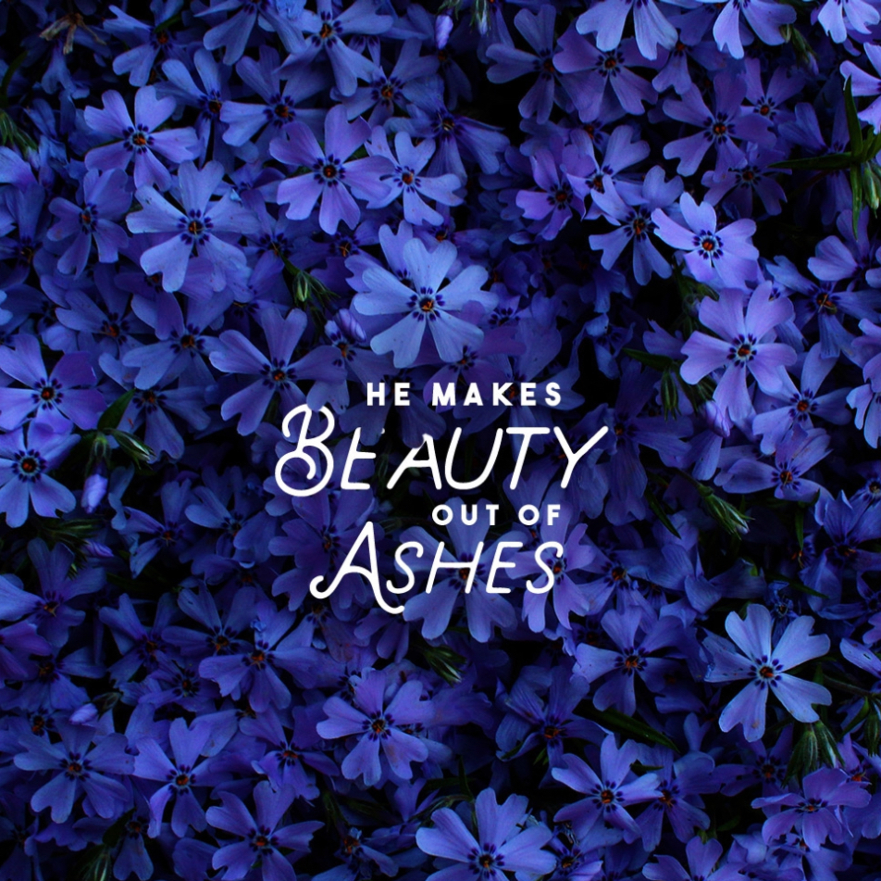 He Makes Beauty Out Of Ashes..!!!