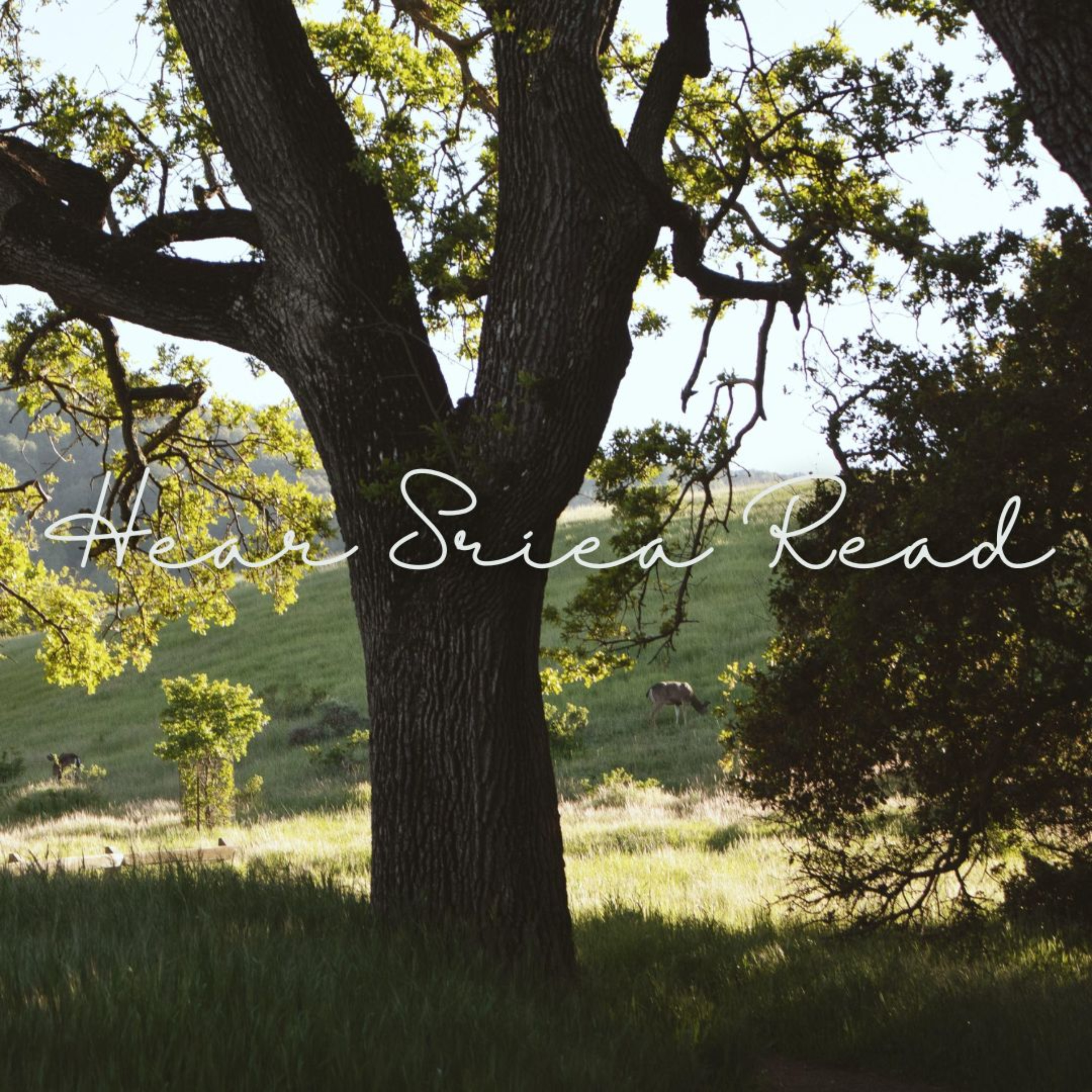 Hear Sriea Read