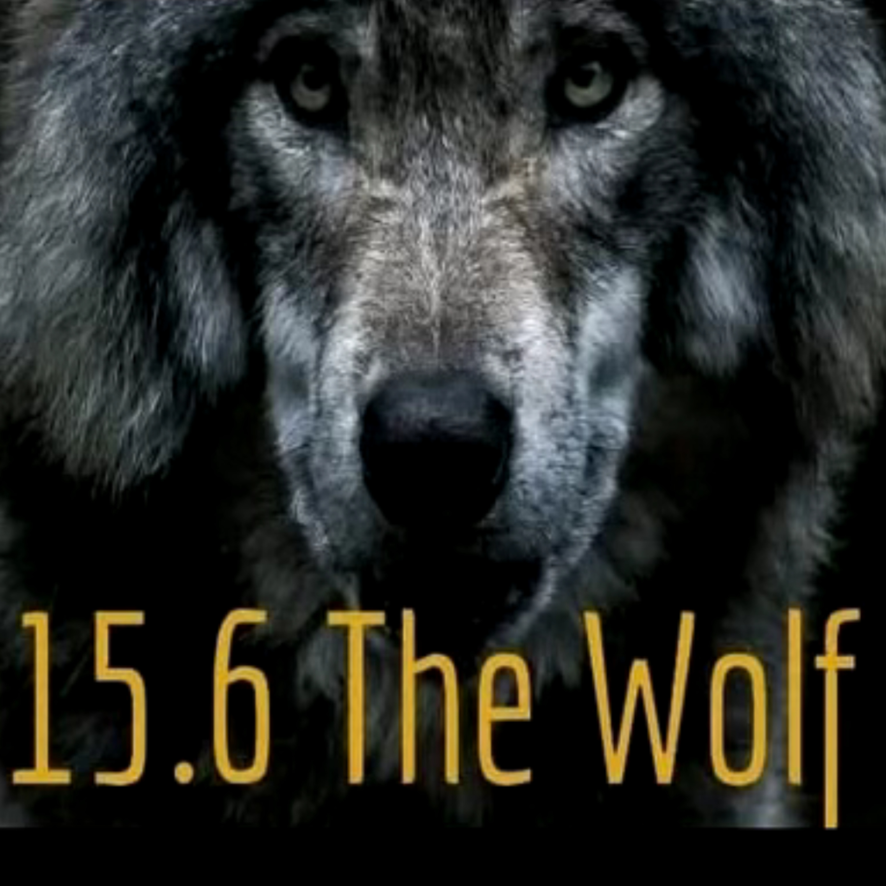 15.6 The Wolf podcast artwork