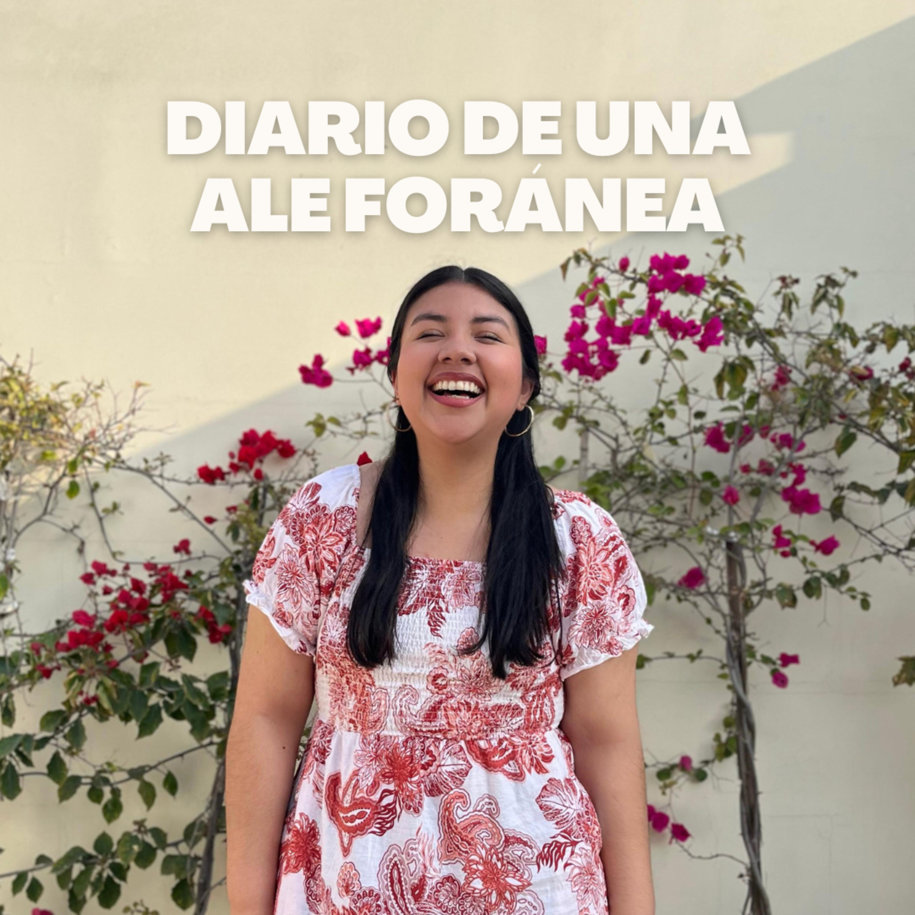Diario de una Ale foránea