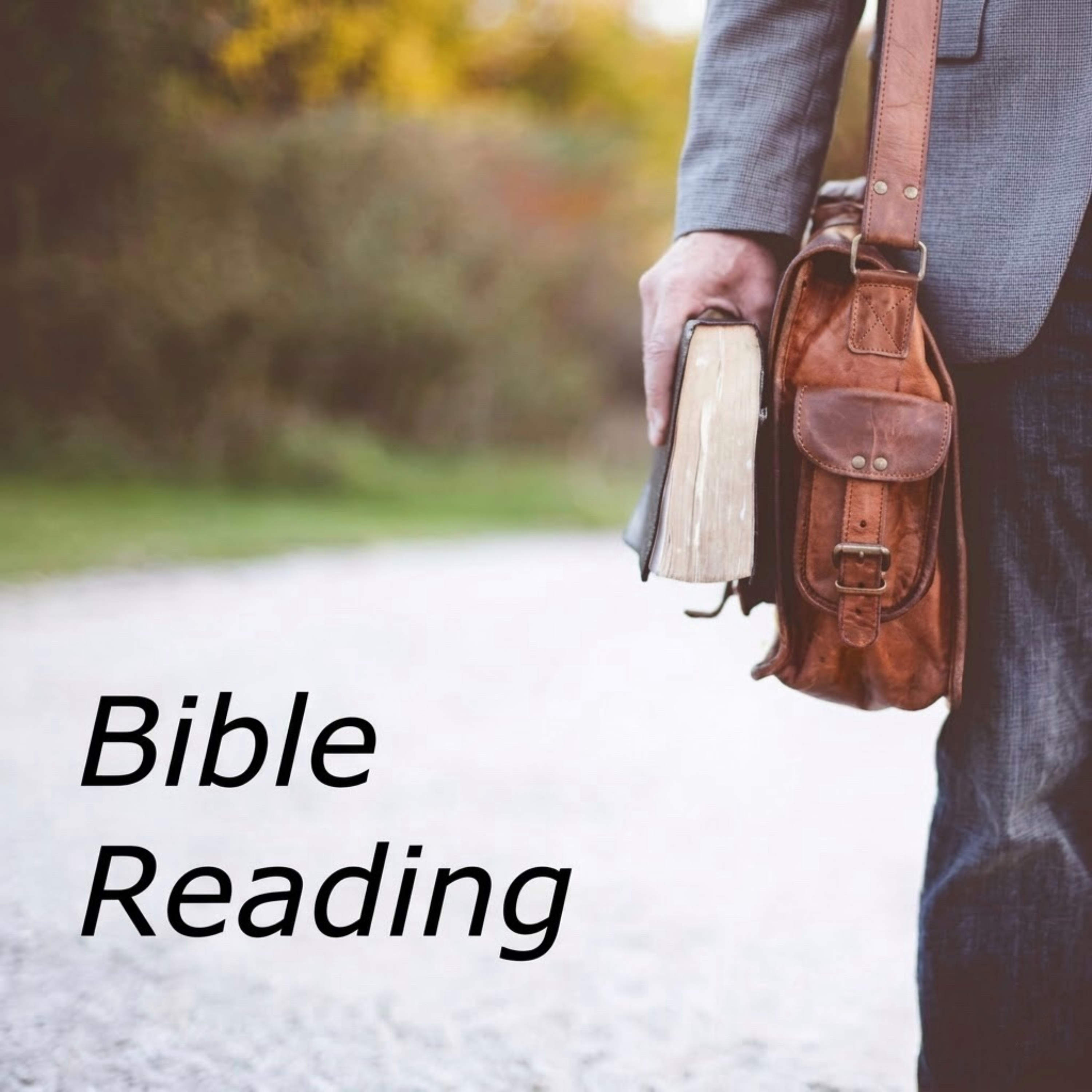 Bible Reading