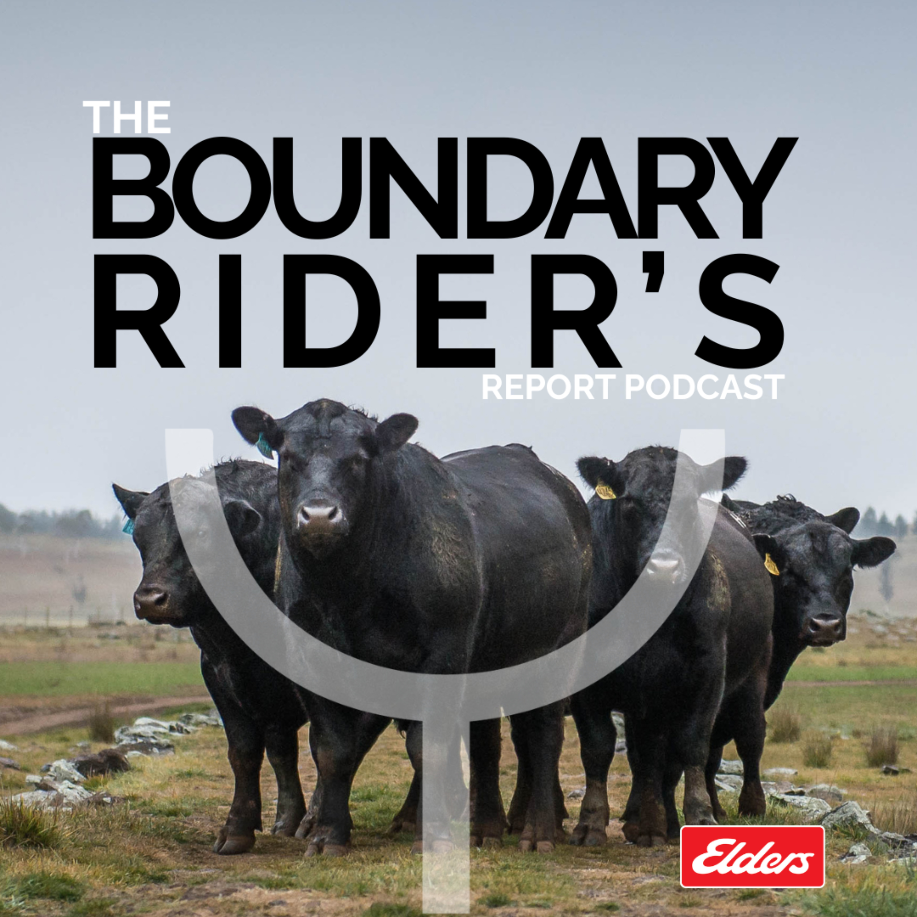 The Boundary Rider\'s Report Podcast by Bald Blair Angus