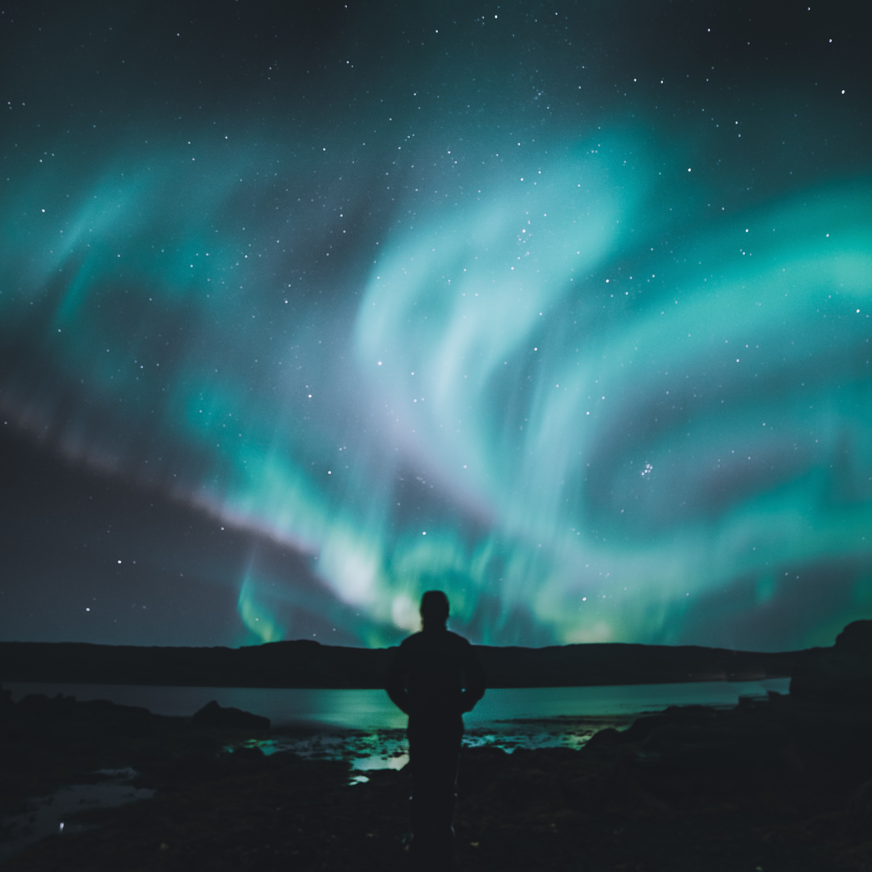 Two Disagreeable Dudes