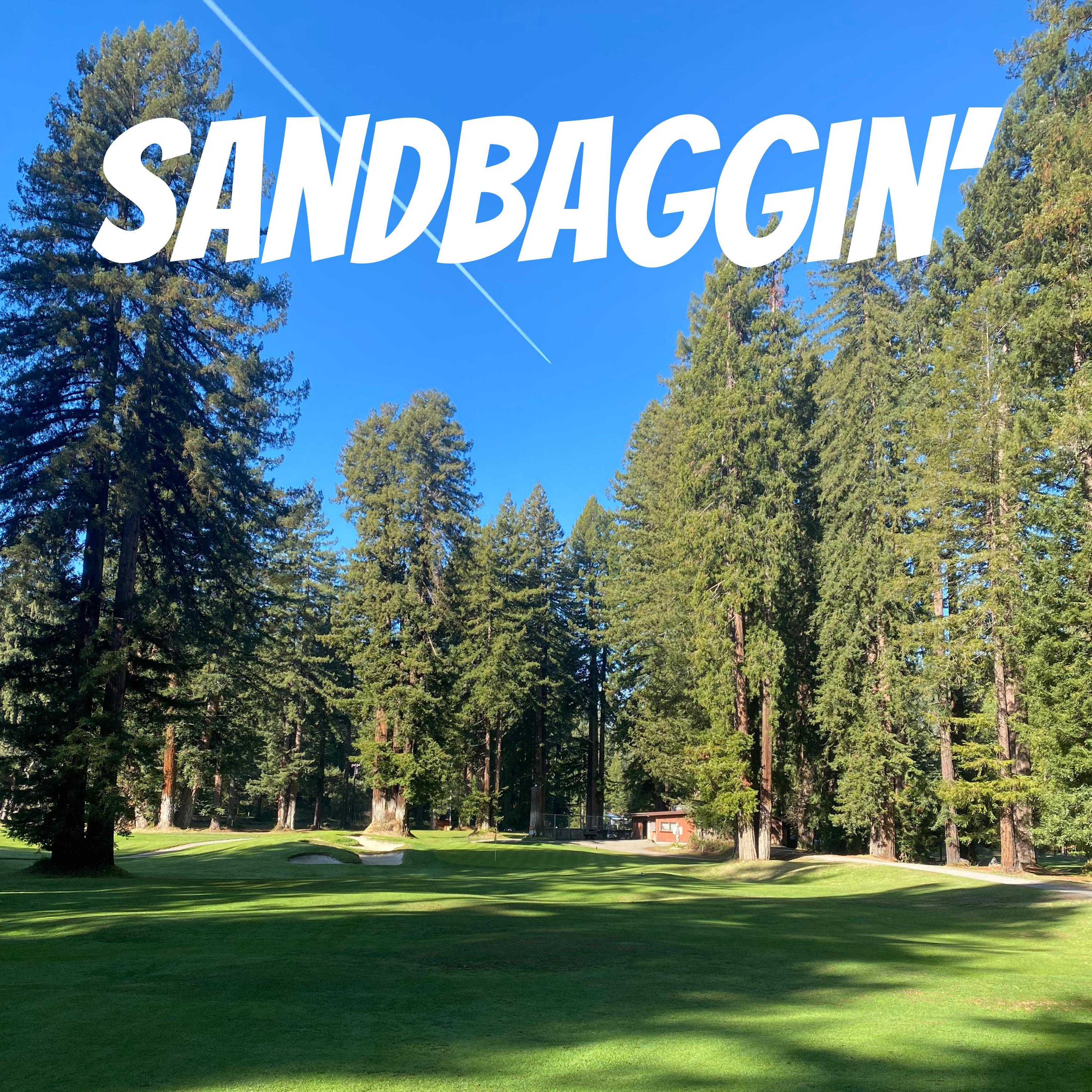Sandbaggin\'