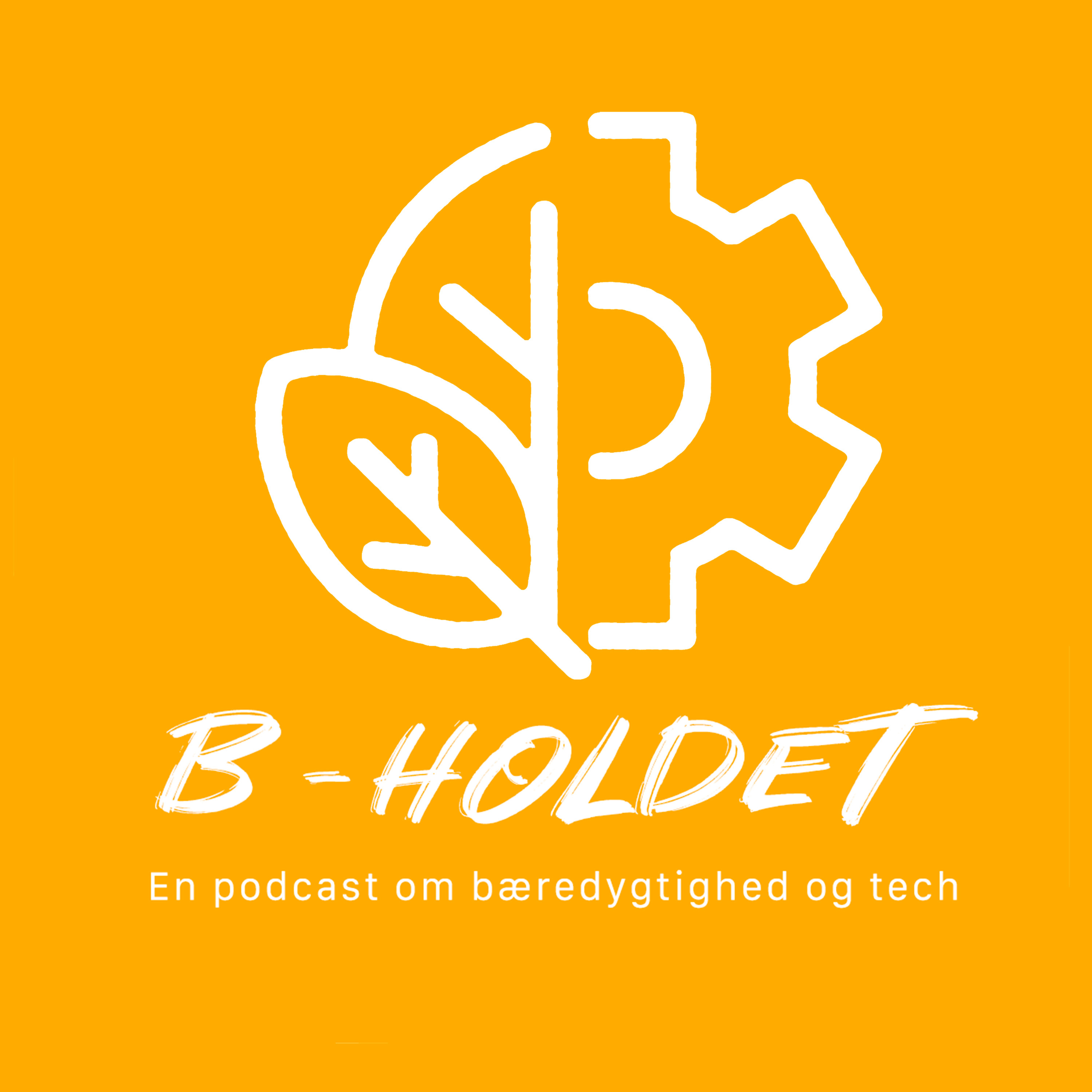 B-Holdet