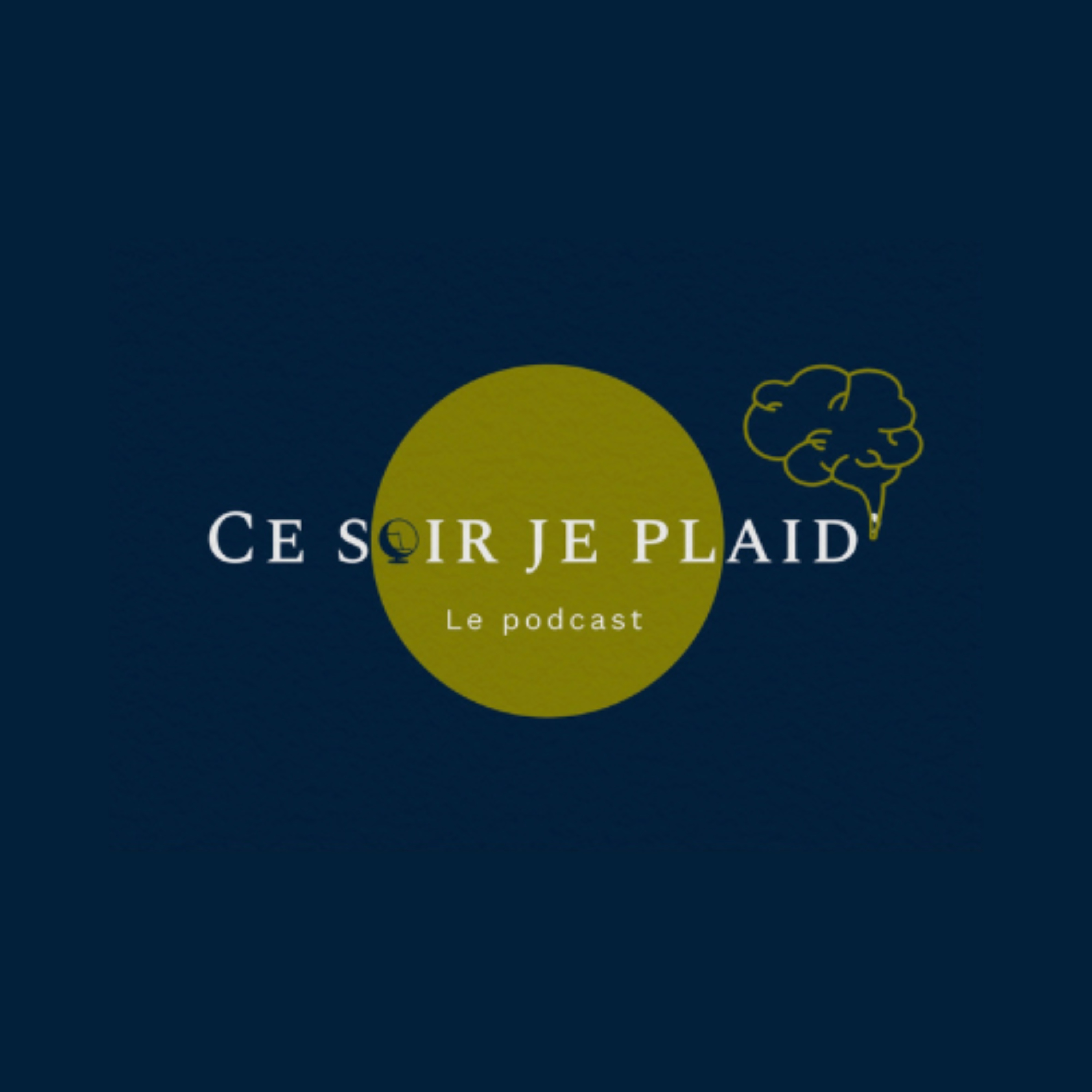 Ce soir je plaid'