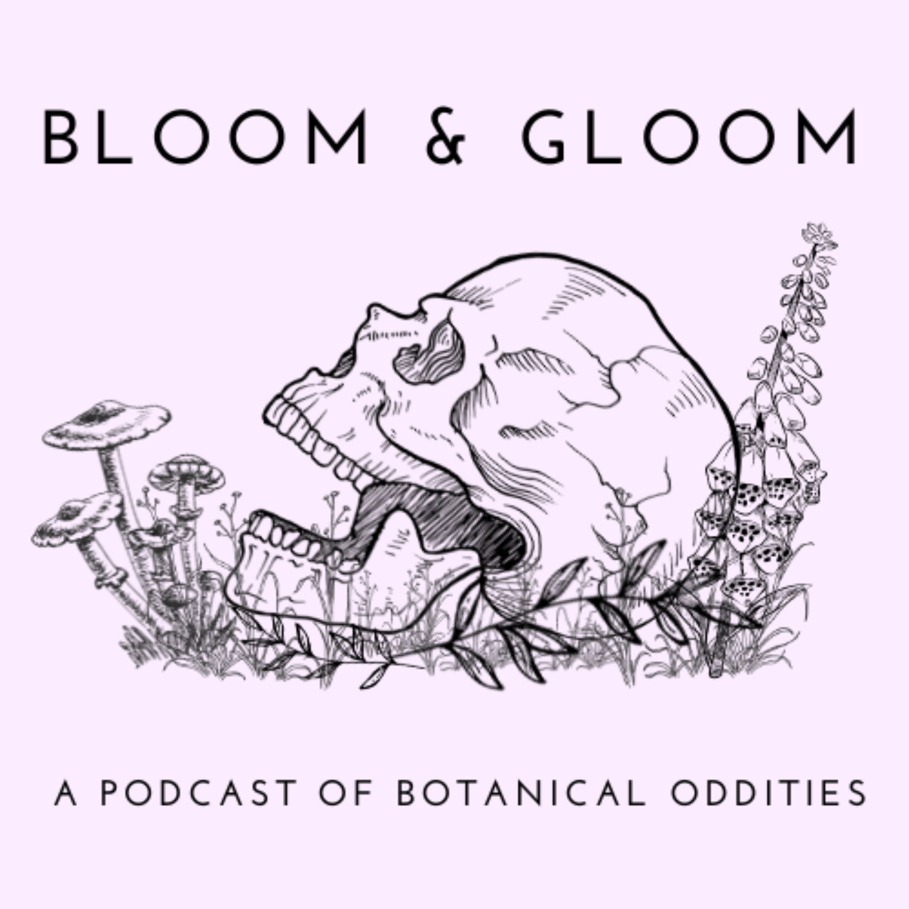 Bloom & Gloom