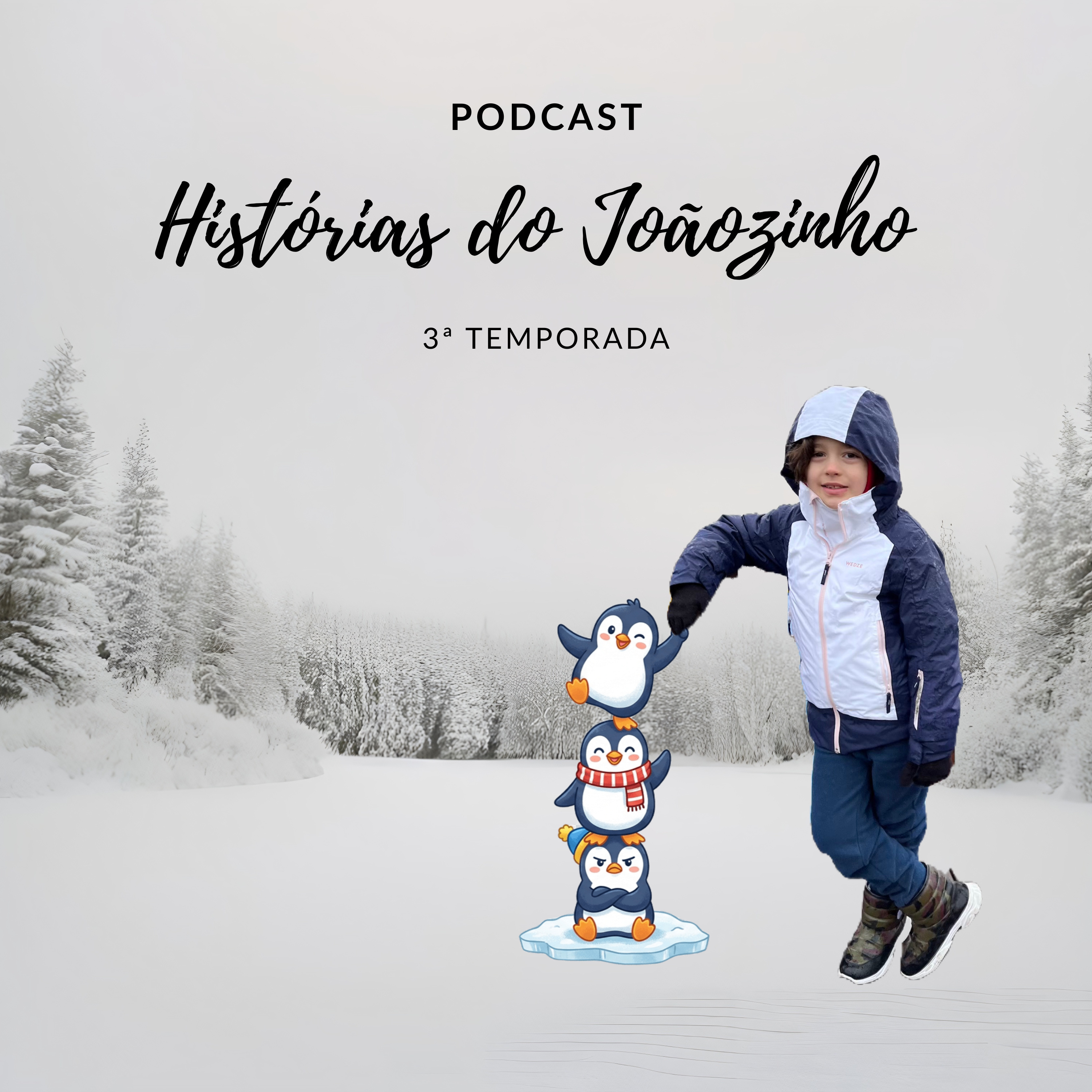 Histórias do Joãozinho podcast artwork