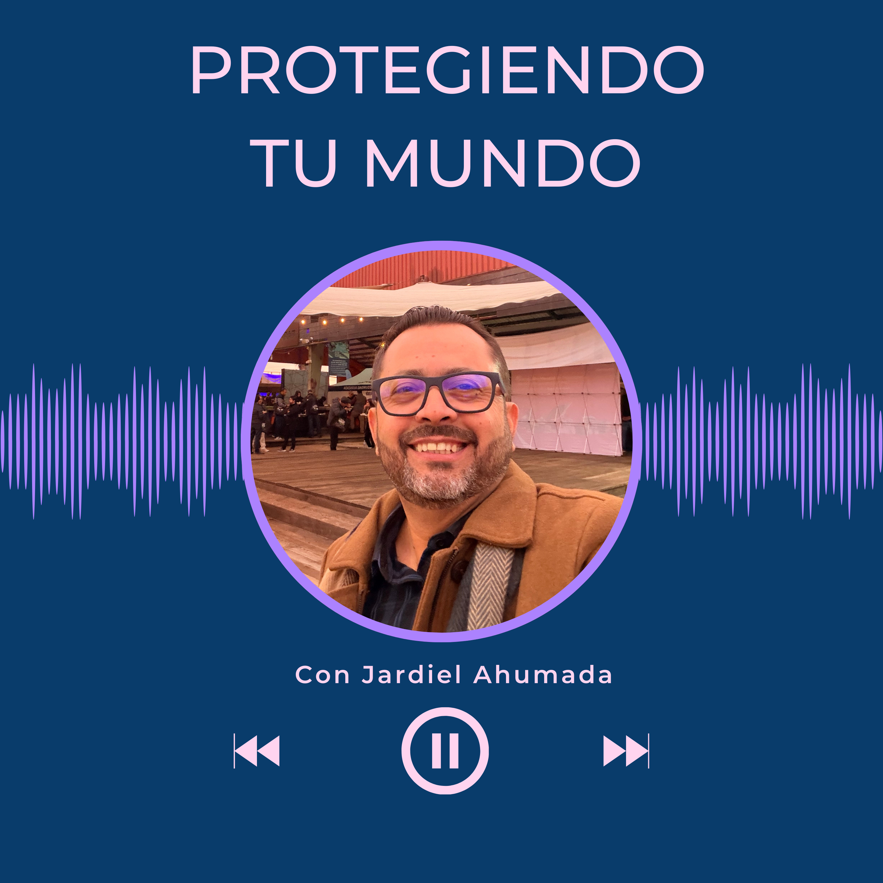 La falsa percepcion de seguridad episode artwork