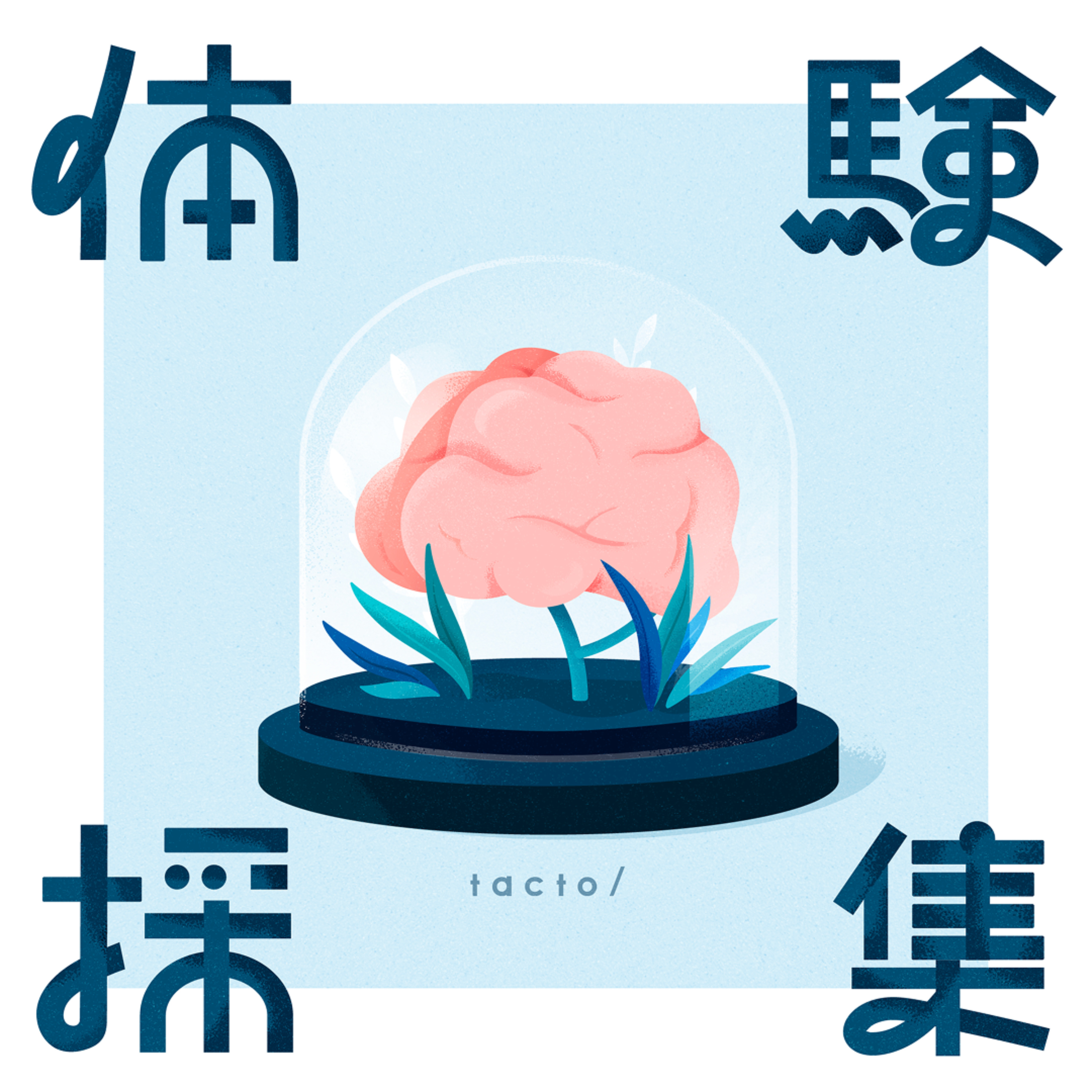 体験採集