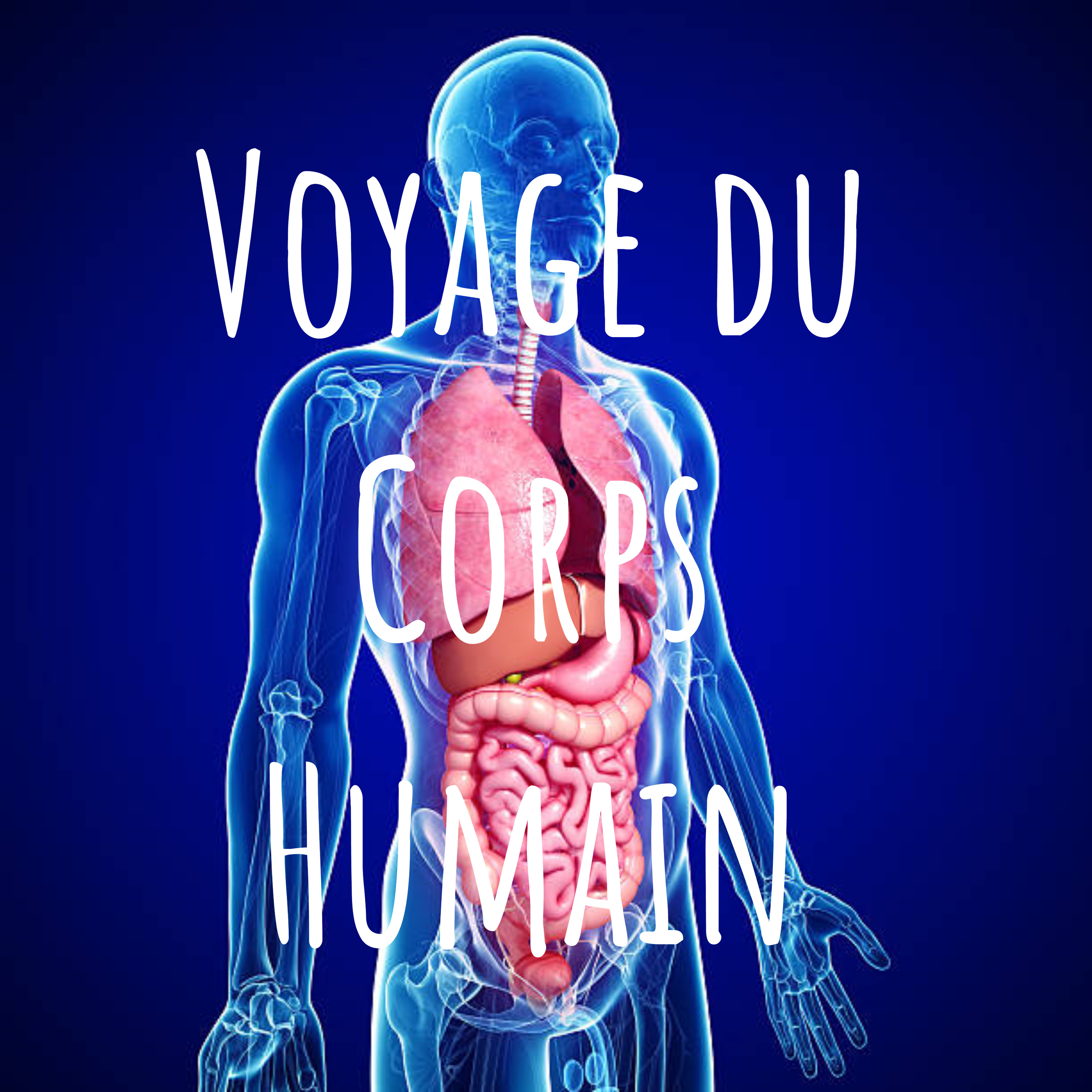 Voyage du Corps Humain