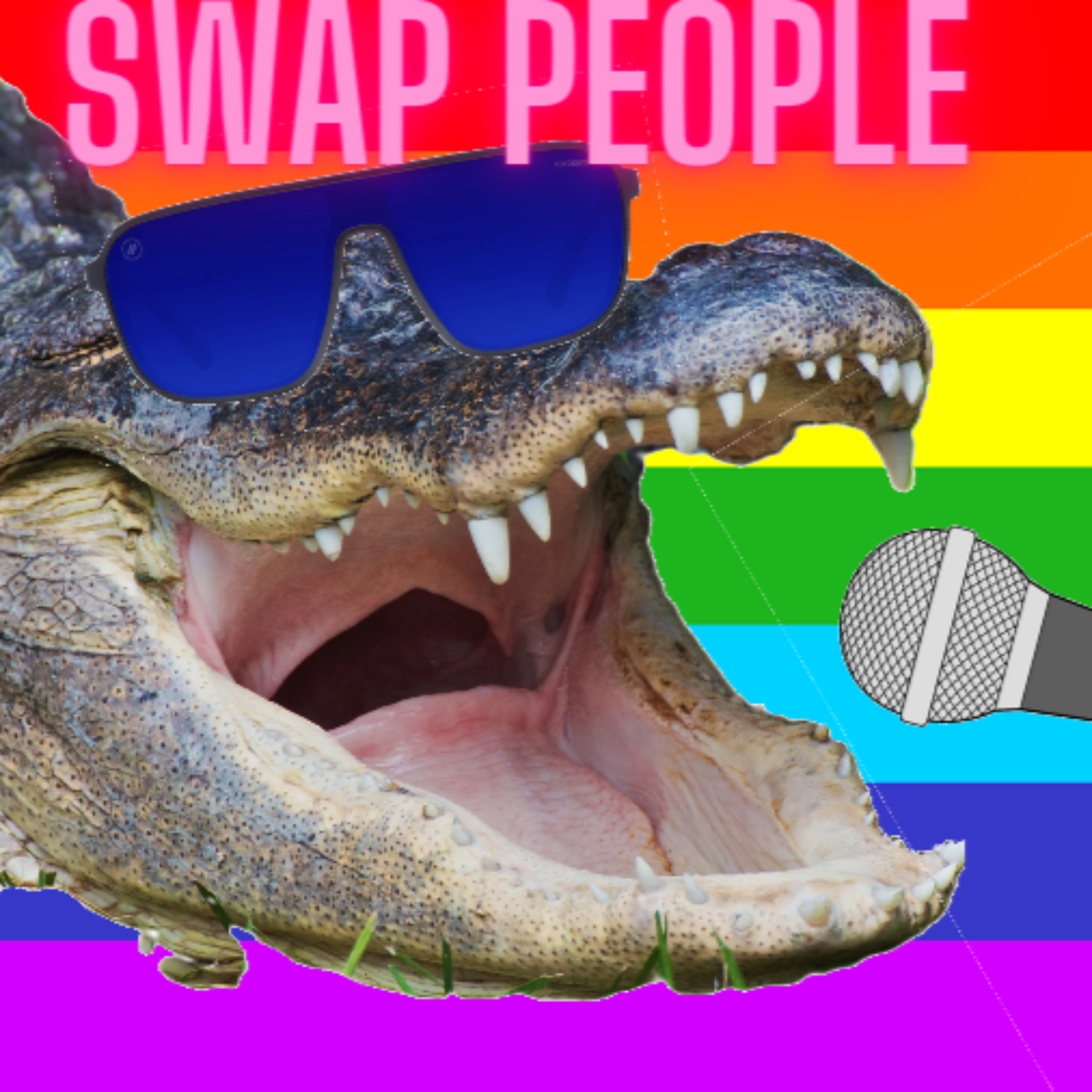 Swap People