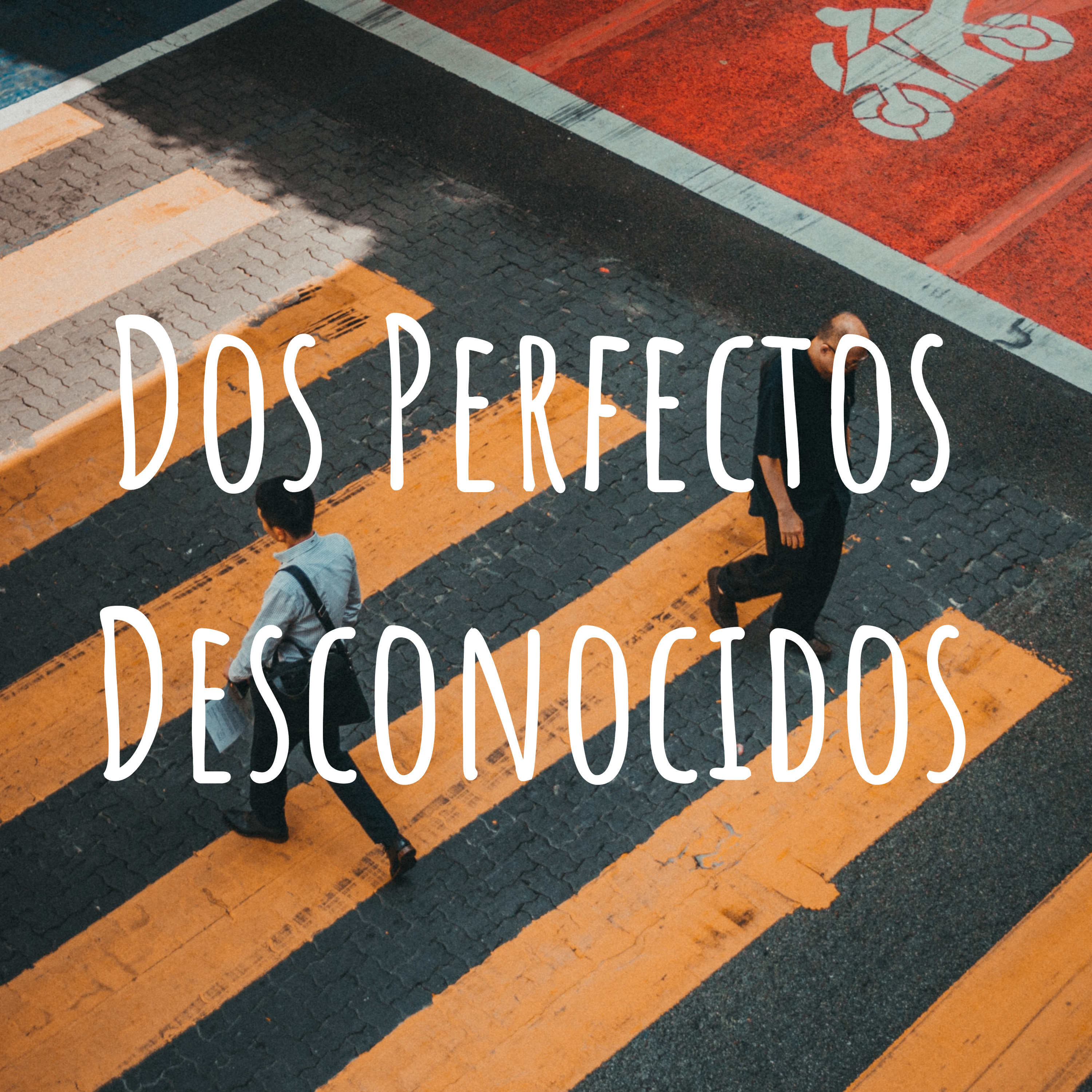 Dos Perfectos Desconocidos