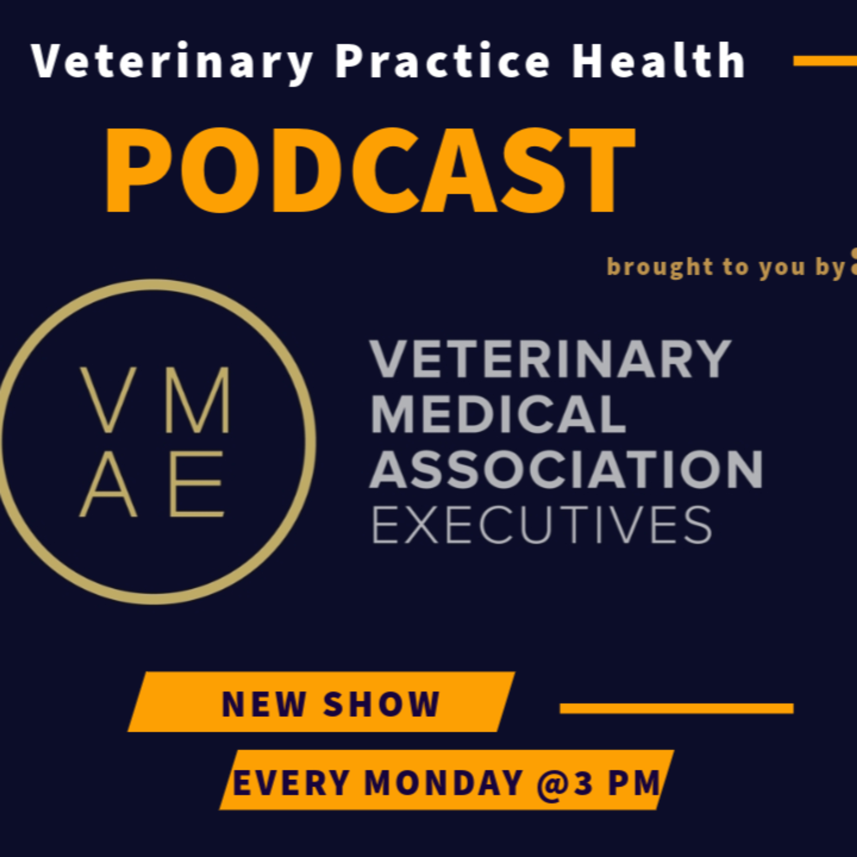 Veterinary Health Practice Podcast