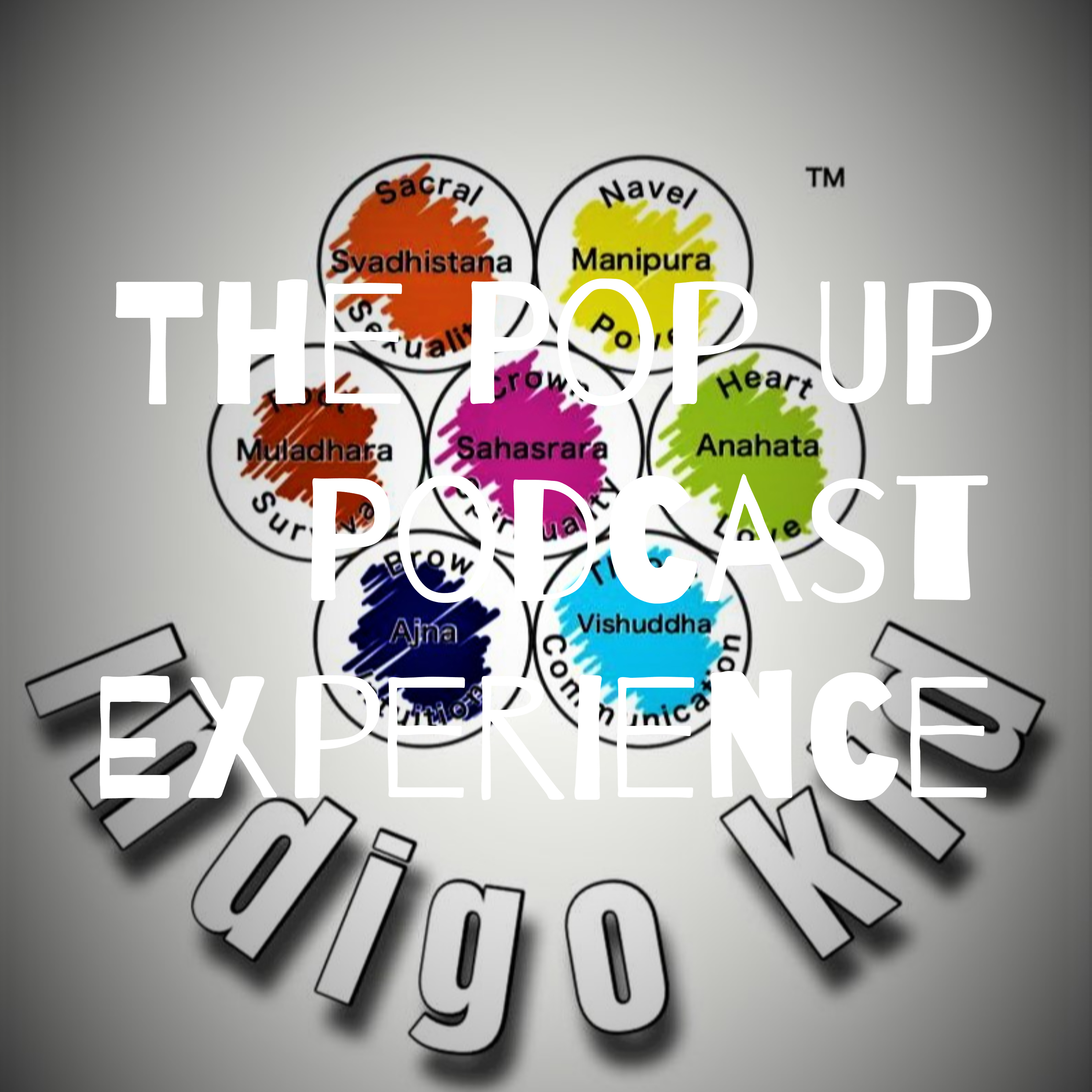 The Pop Up Podcast Experience podcast artwork