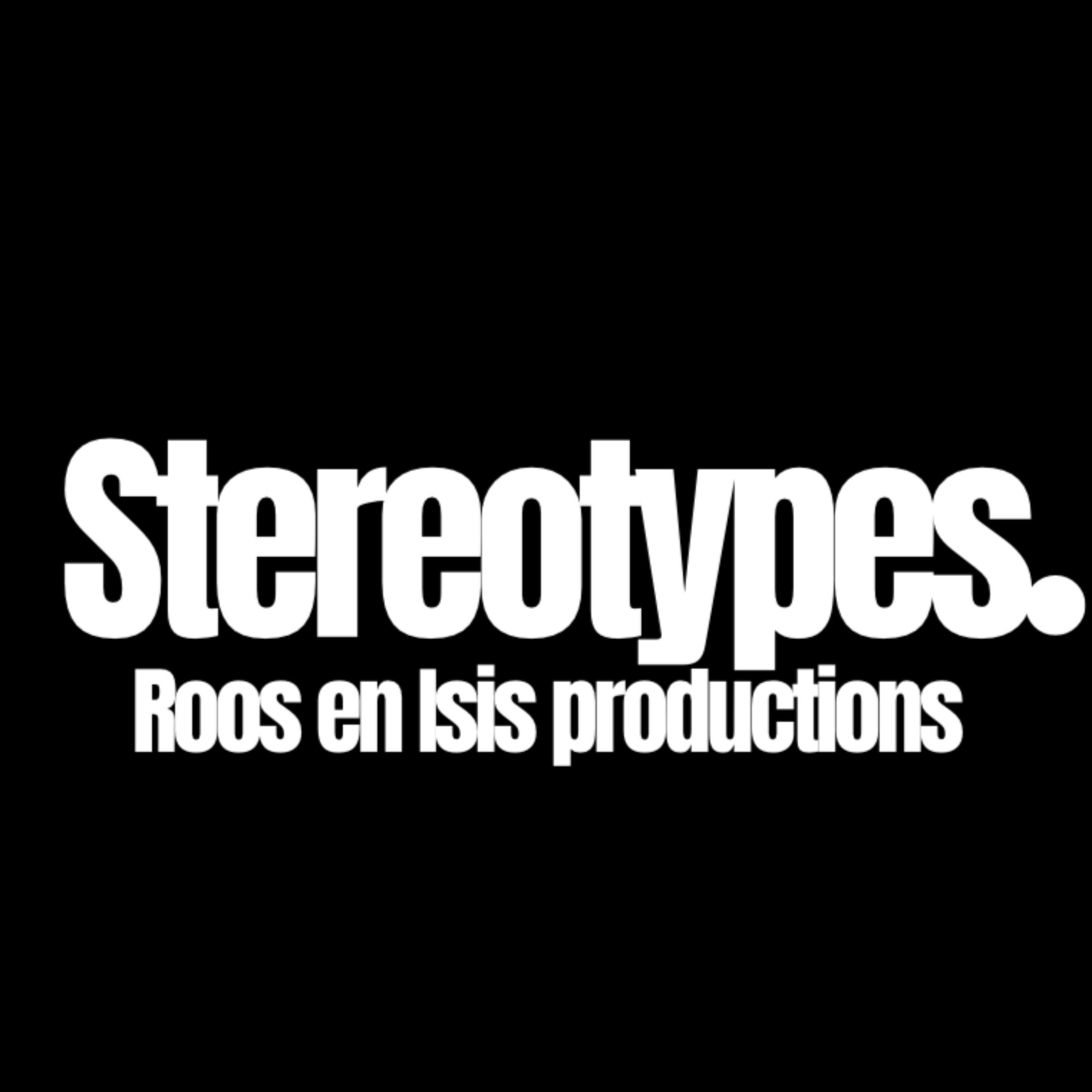 Stereotypes. cover art