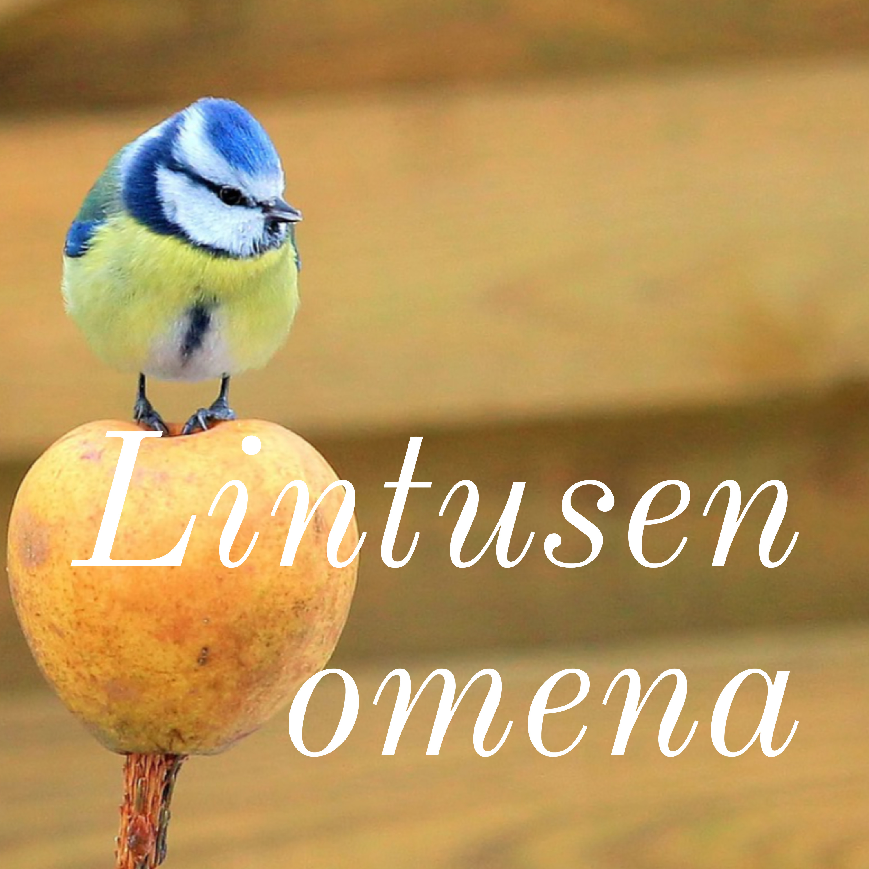 Lintusen omena podcast artwork