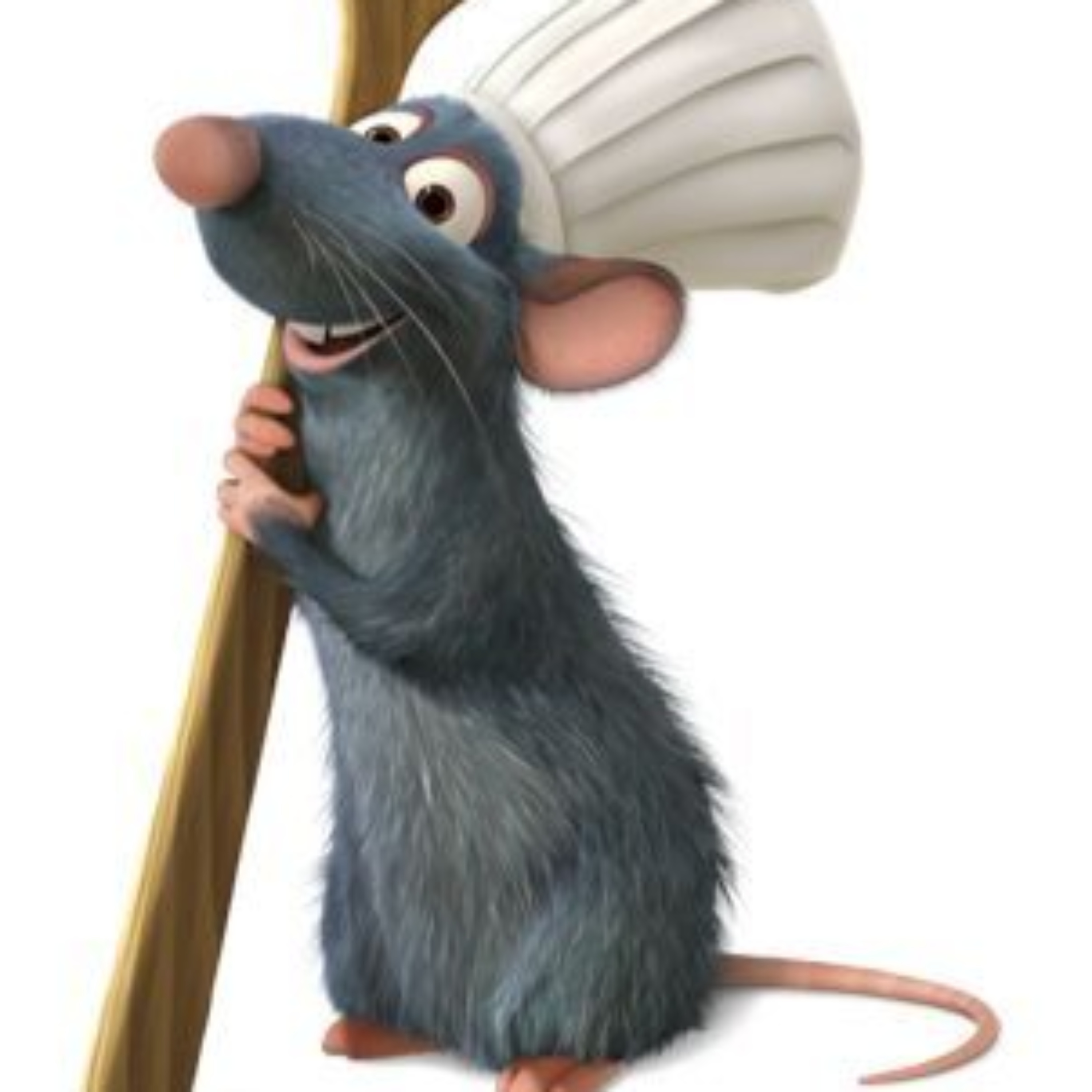 The Trash Rat's