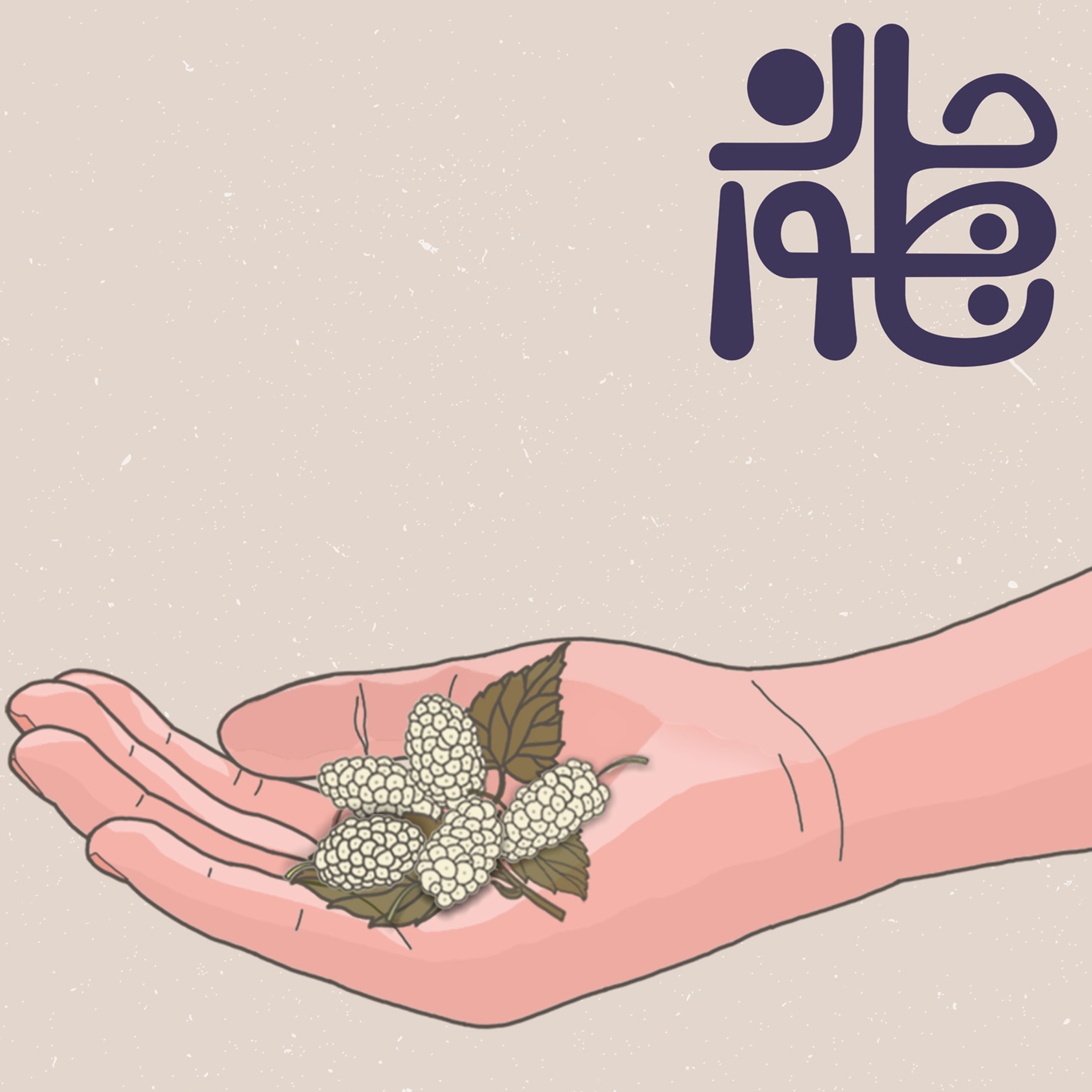 کاور ناطور جان