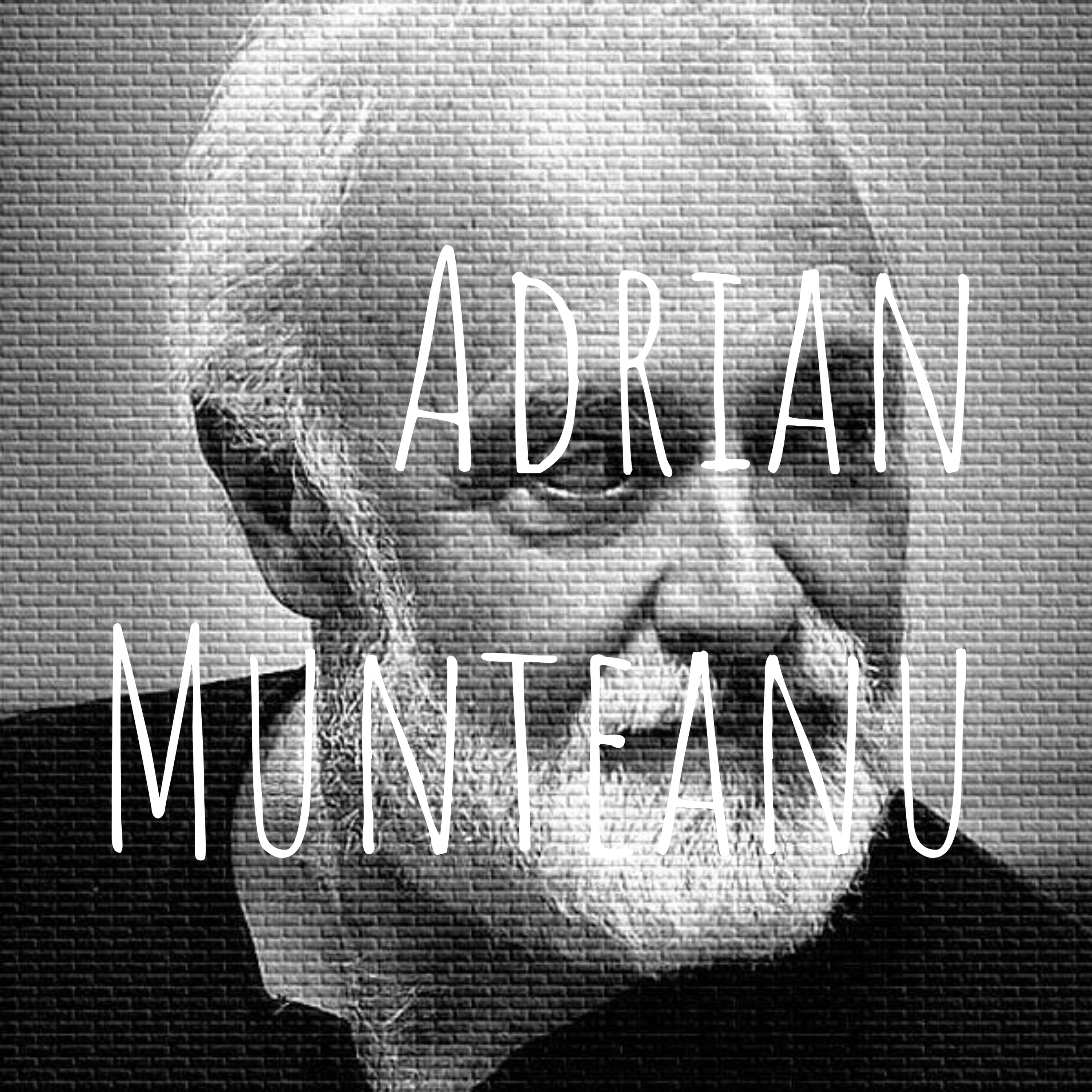 Adrian Munteanu - Introducere în tehnica poetică podcast artwork