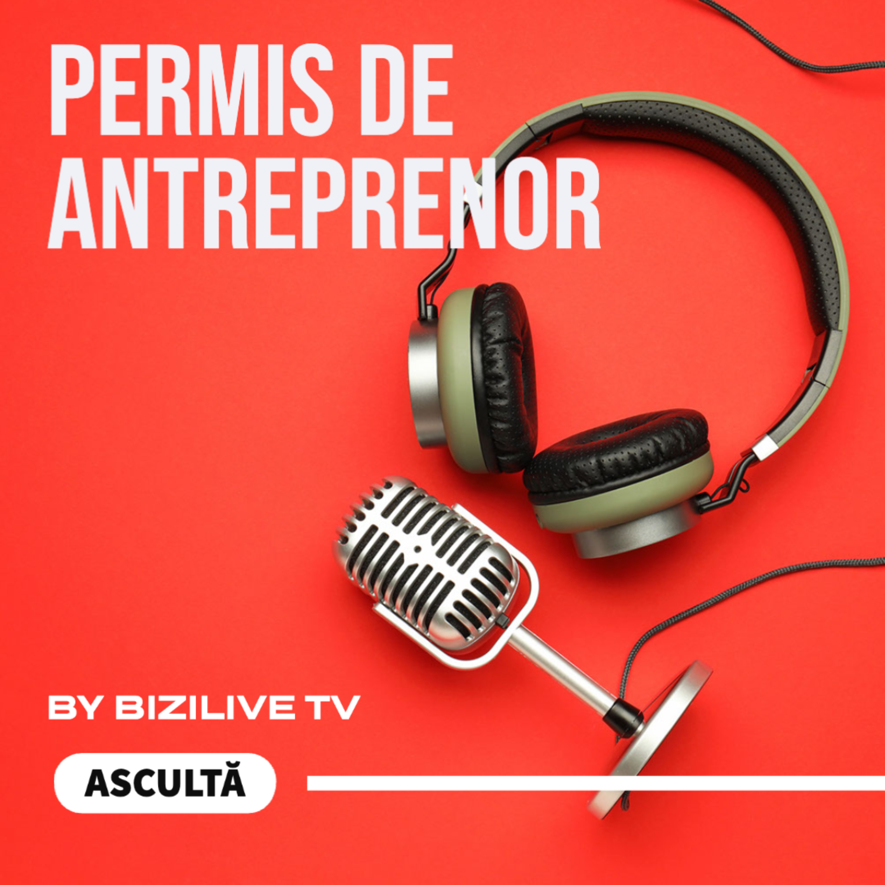 PERMIS DE ANTREPRENOR 