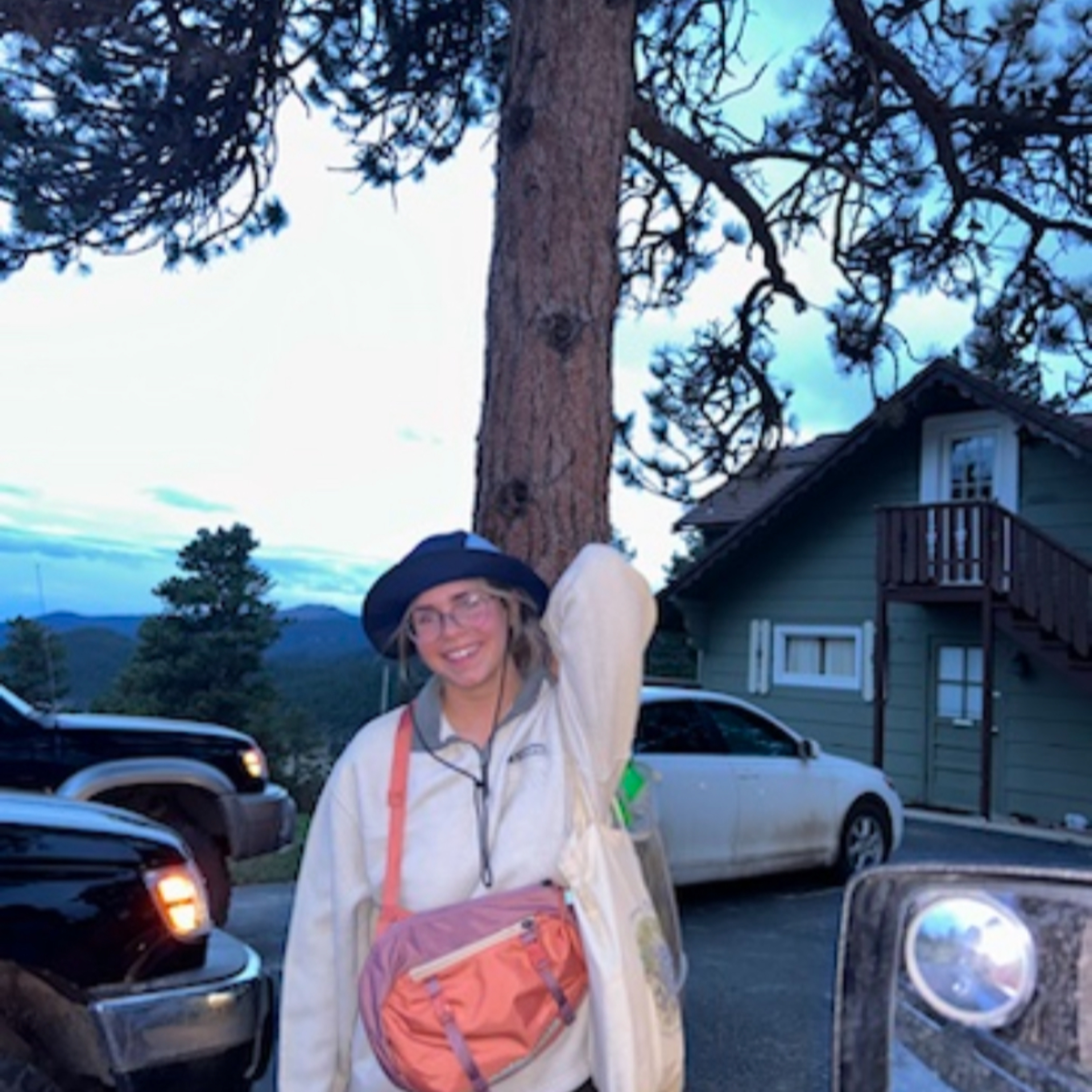 Steadfast and Immovable cover art