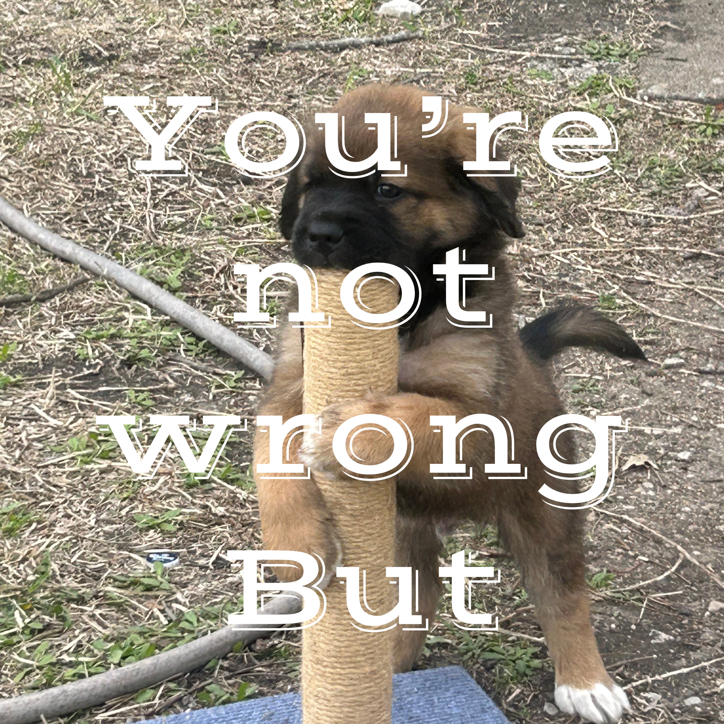 You’re not wrong… But cover art