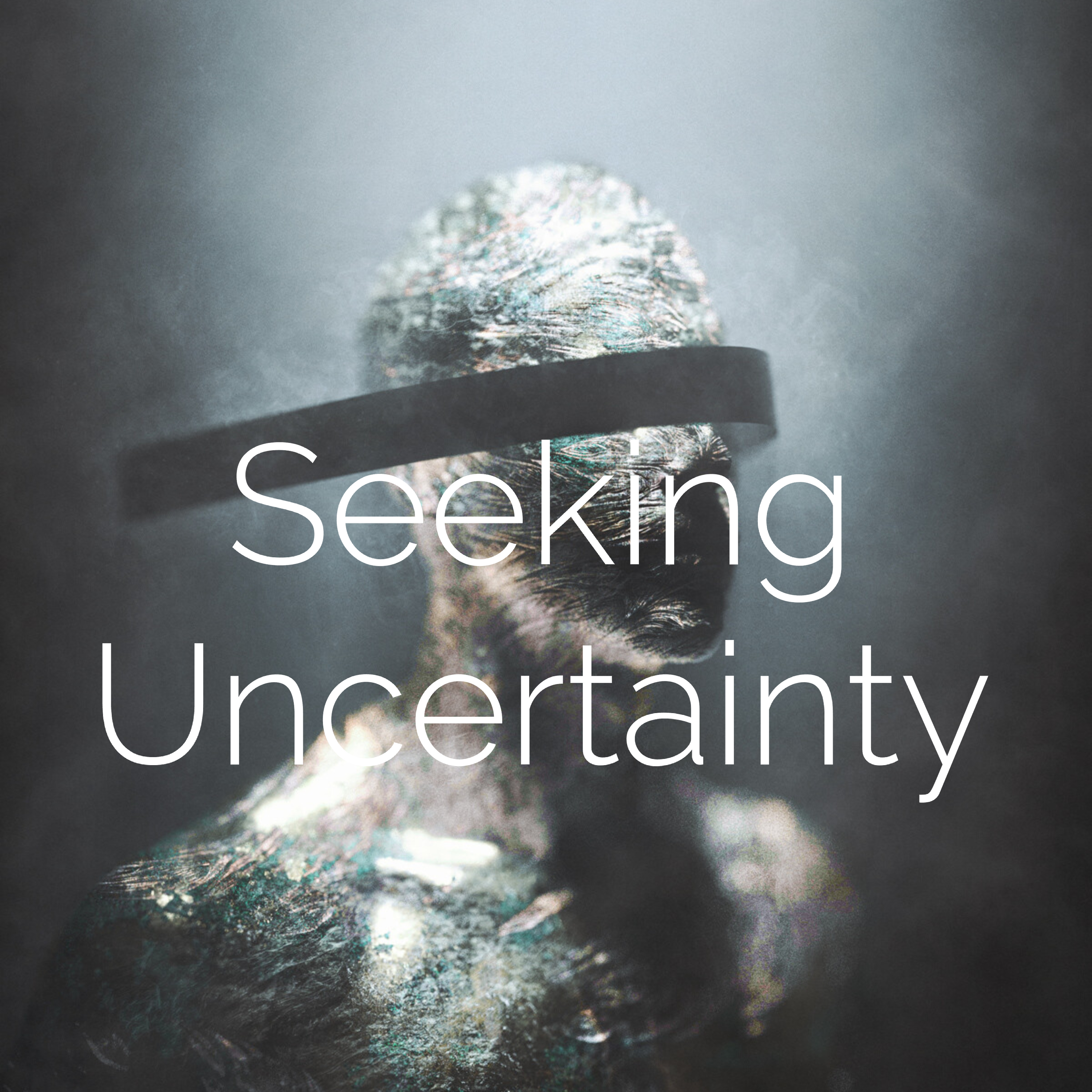 Seeking Uncertainty cover art