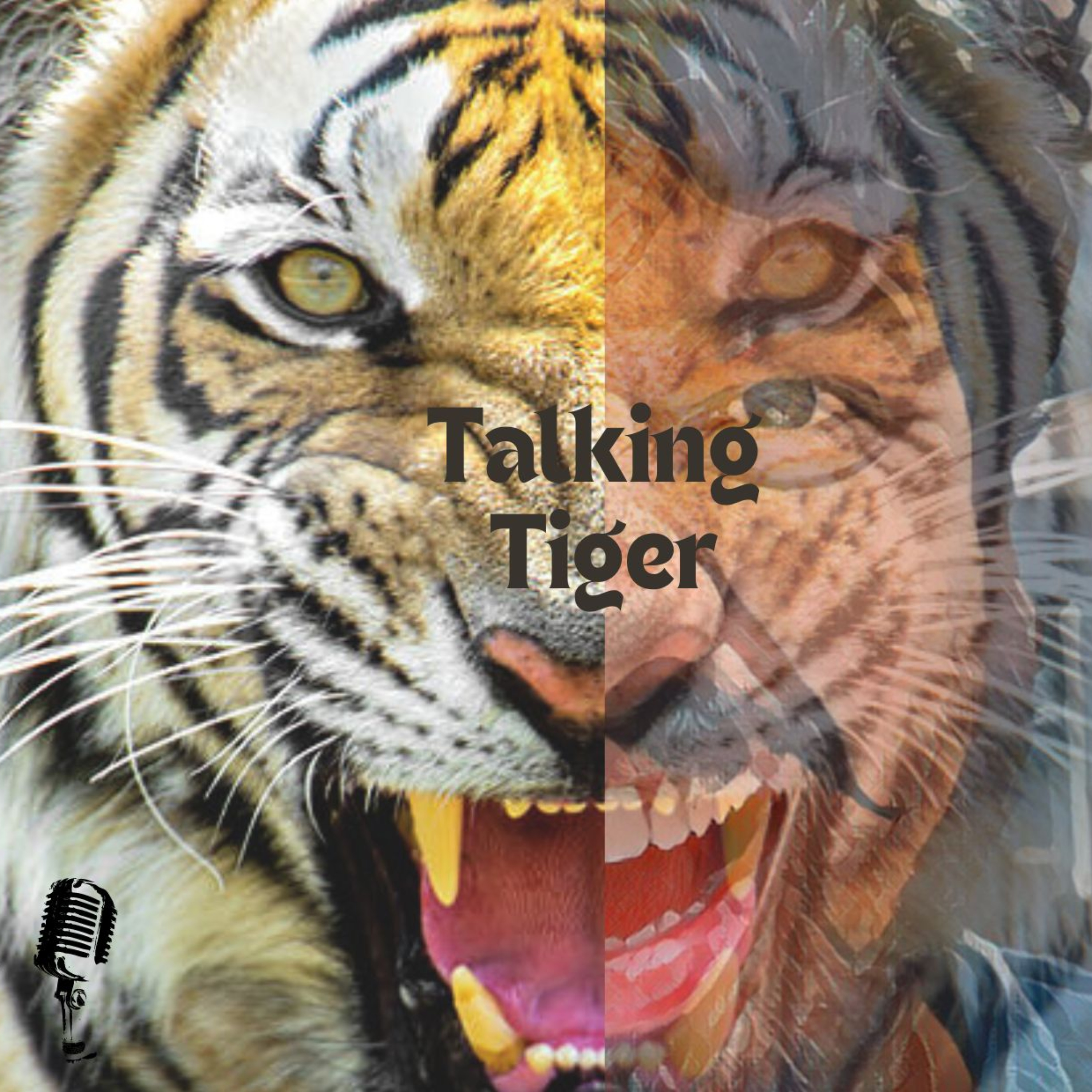 TalkingTiger podcast artwork