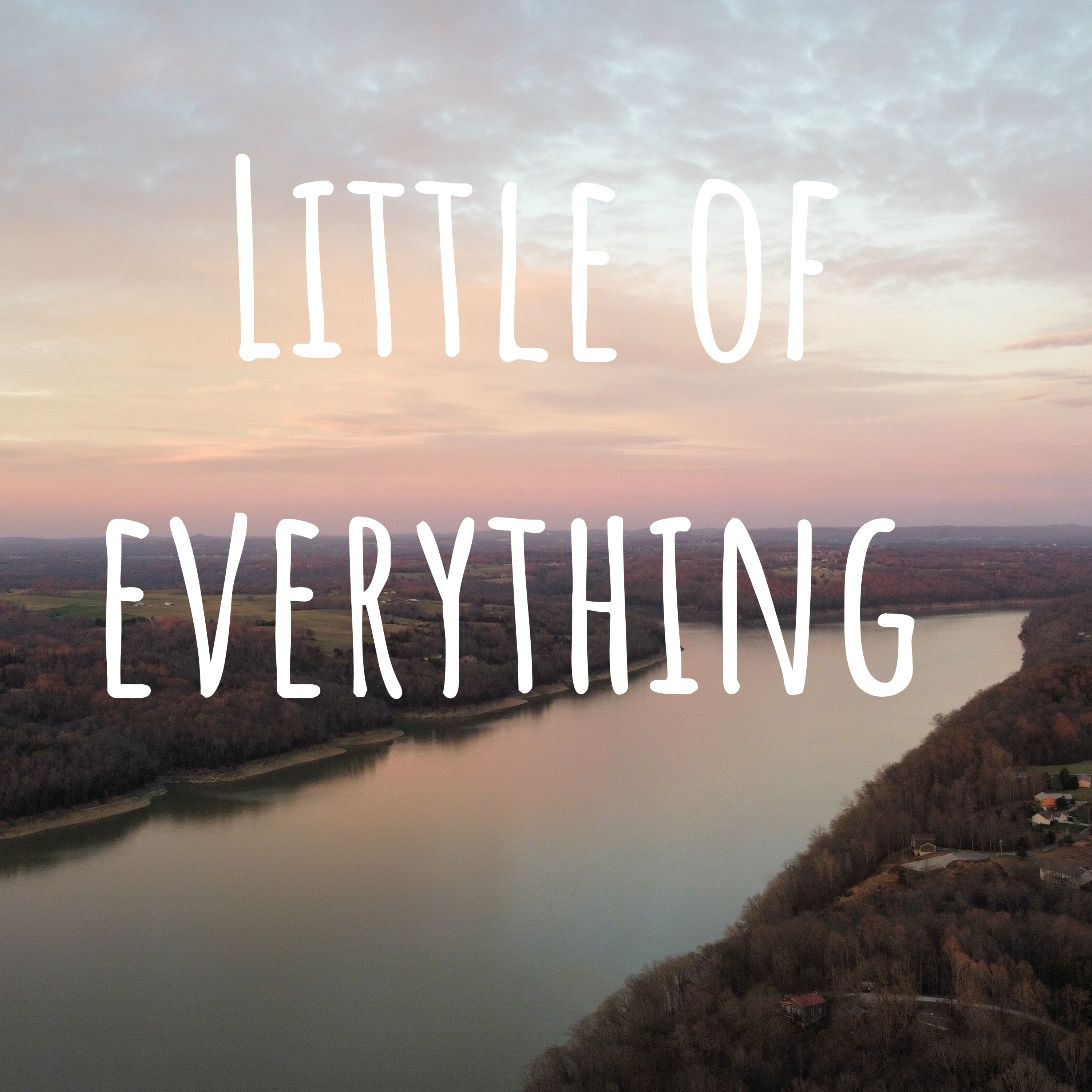 Little of everything podcast artwork